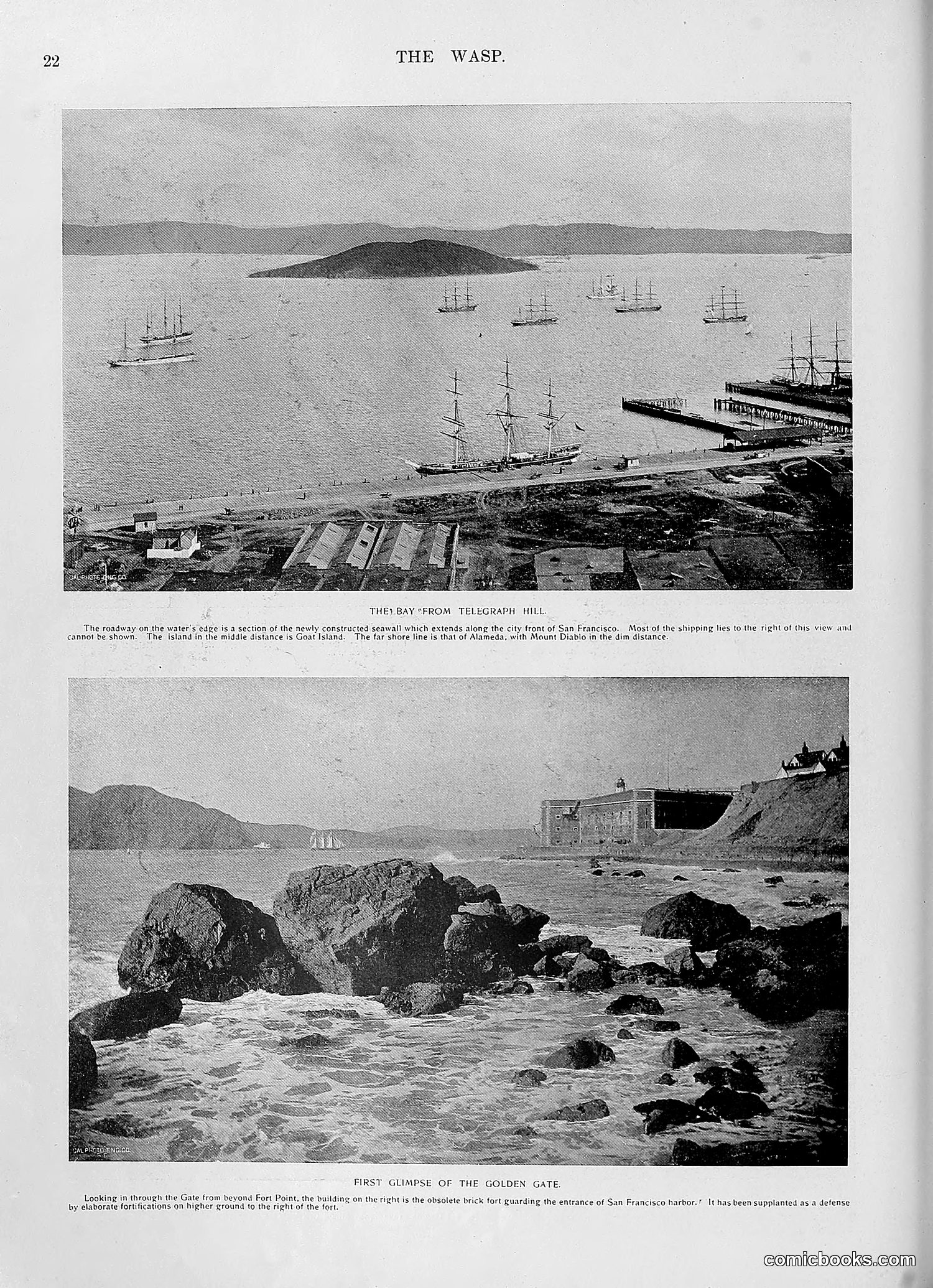 The Wasp — 1896 — page 1031 of 1082