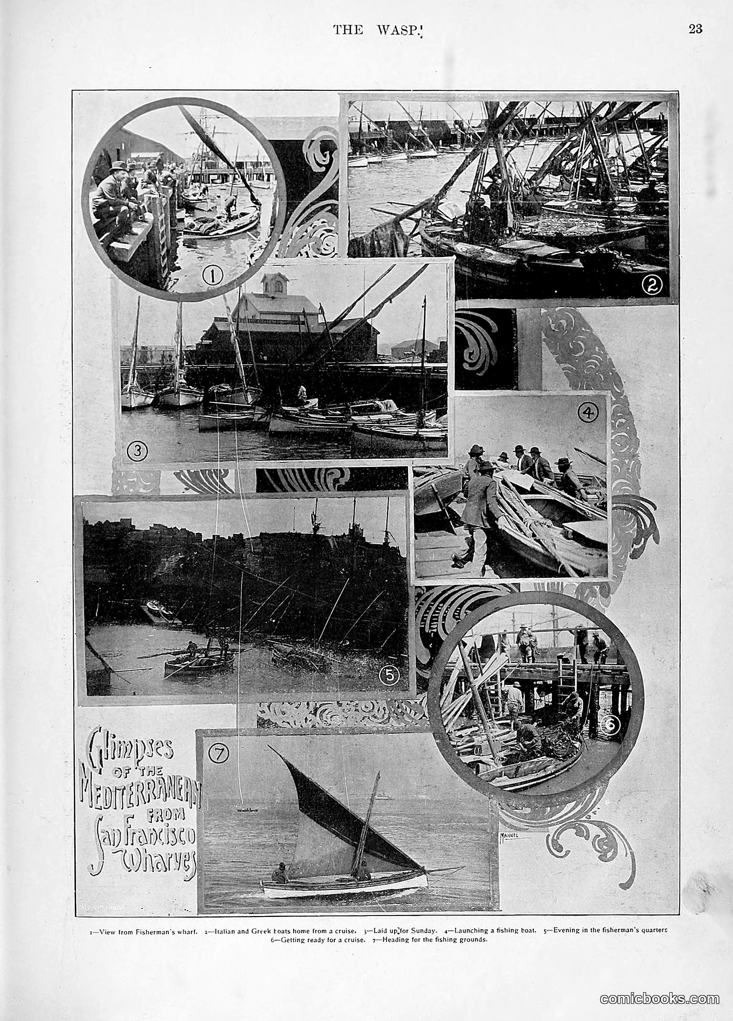 The Wasp — 1896 — page 1032 of 1082