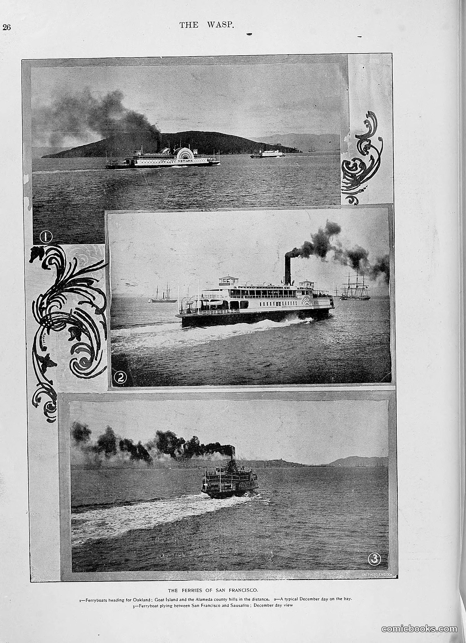 The Wasp — 1896 — page 1035 of 1082