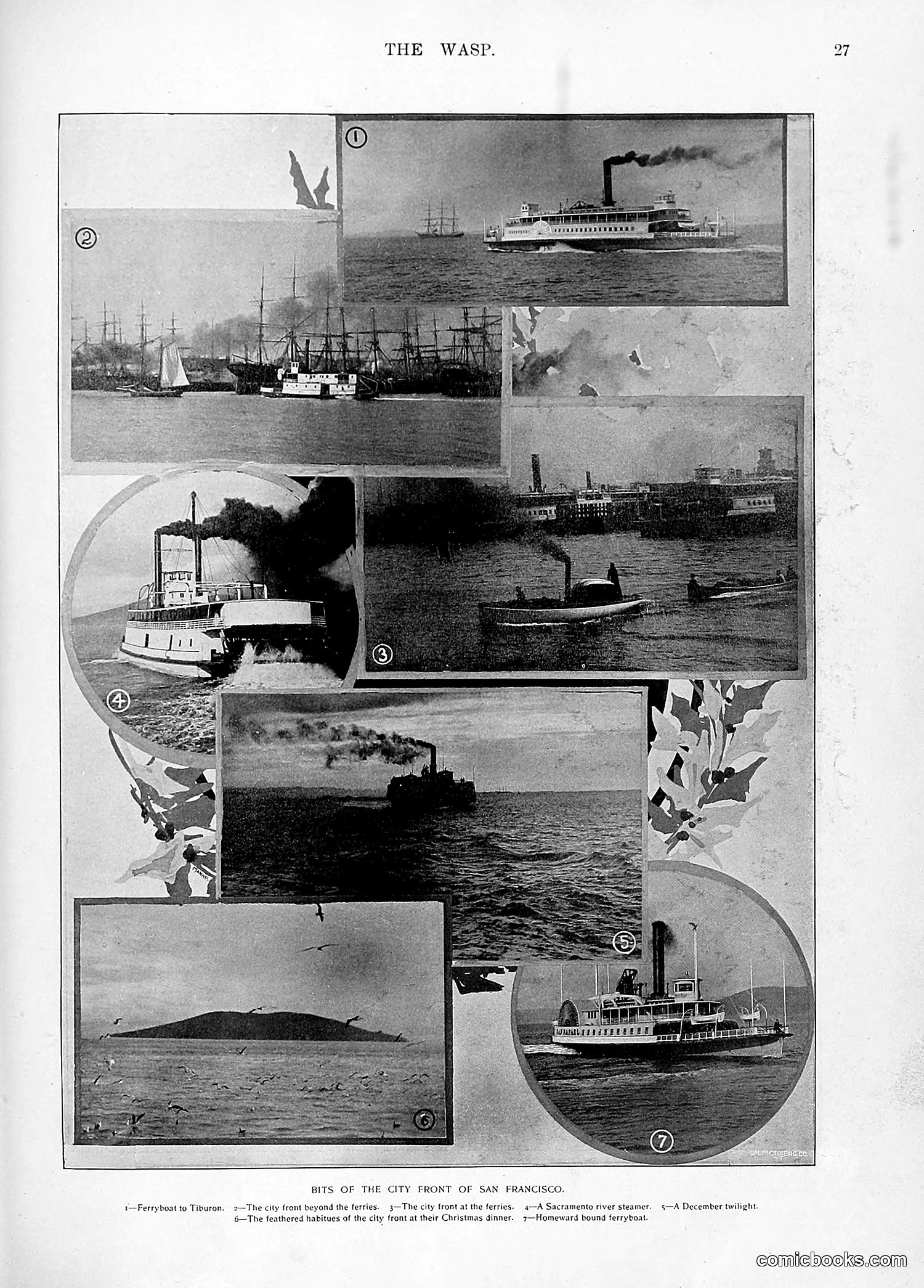 The Wasp — 1896 — page 1036 of 1082