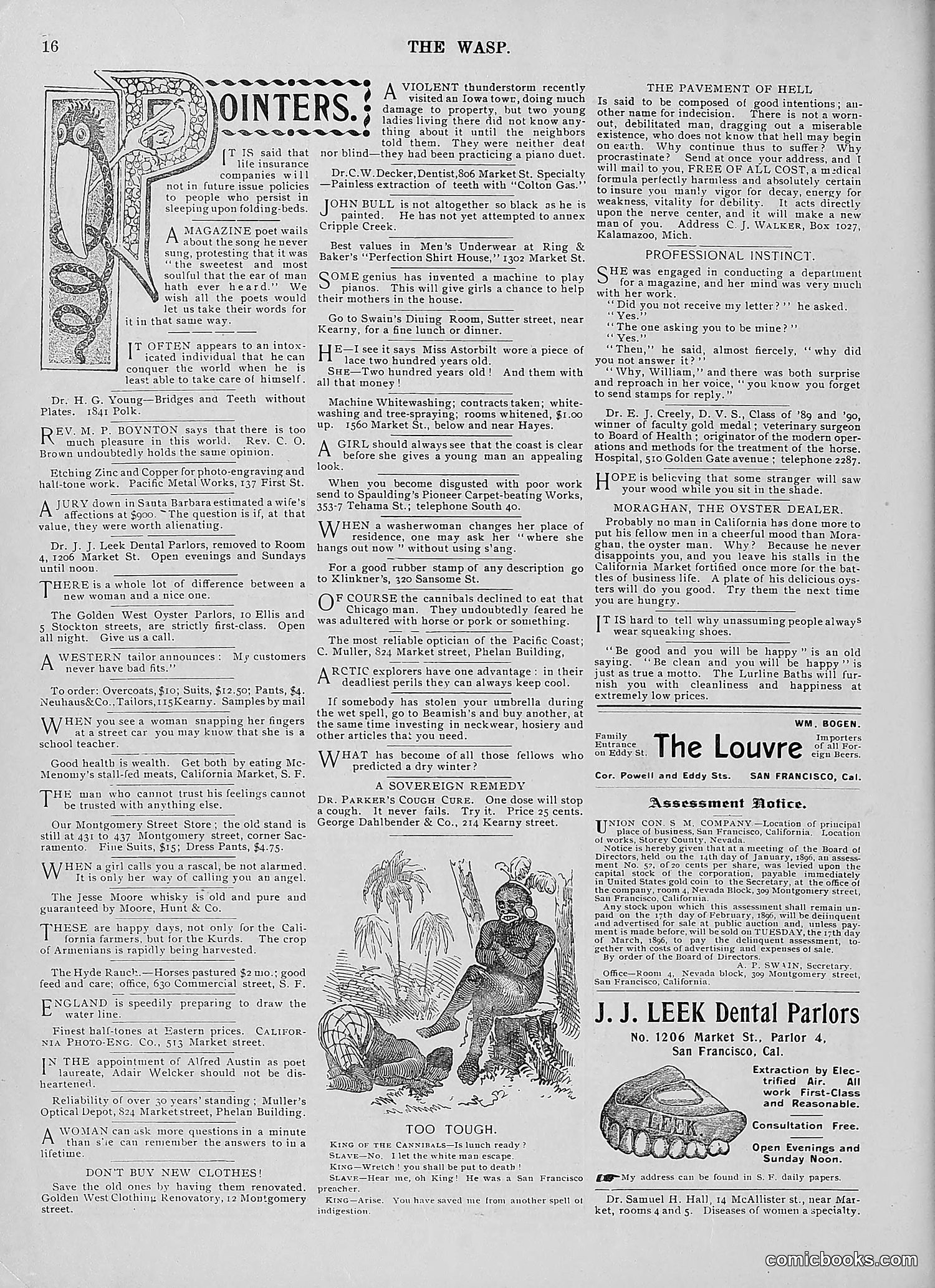 The Wasp — 1896 — page 105 of 1082