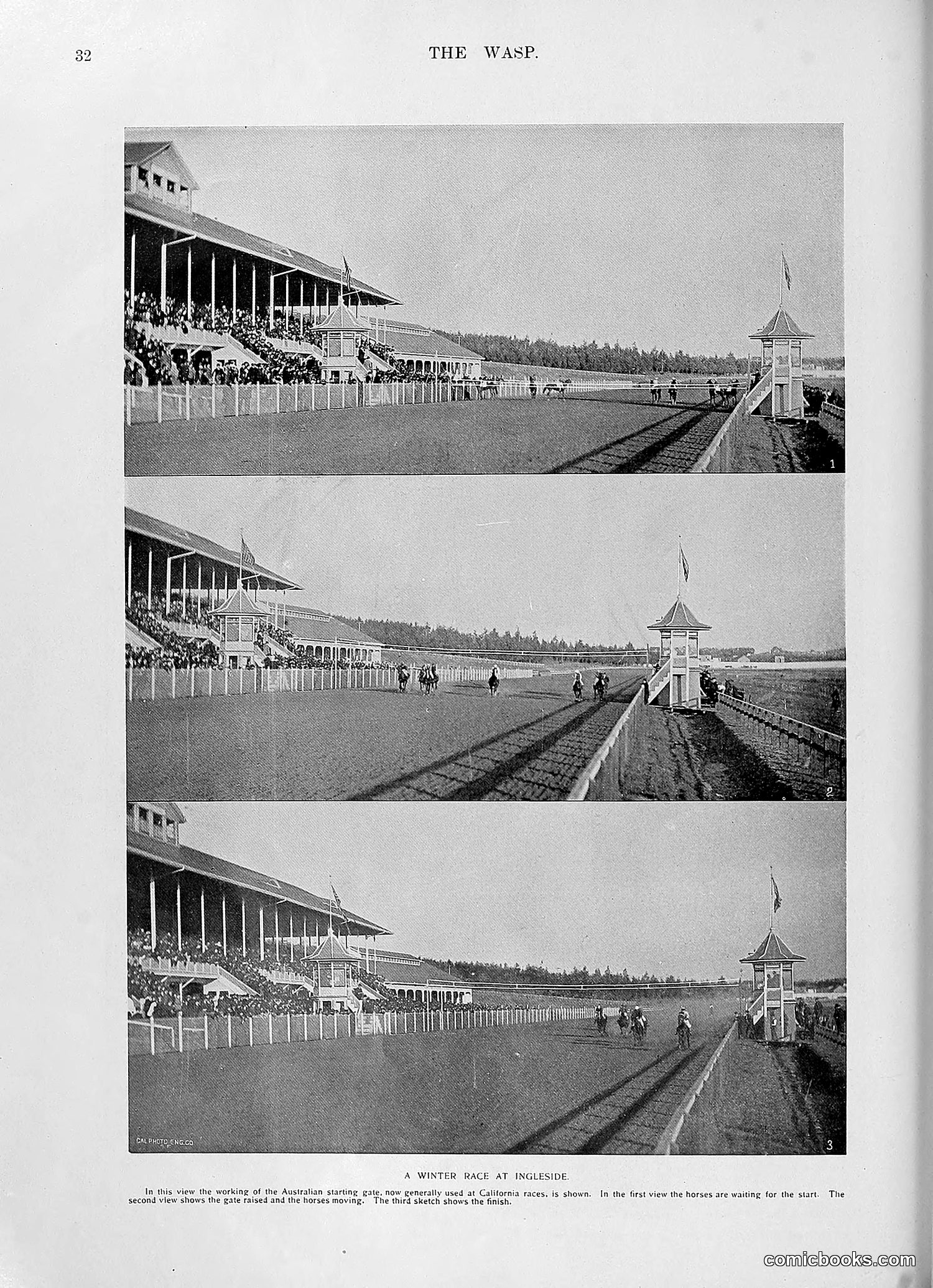 The Wasp — 1896 — page 1041 of 1082