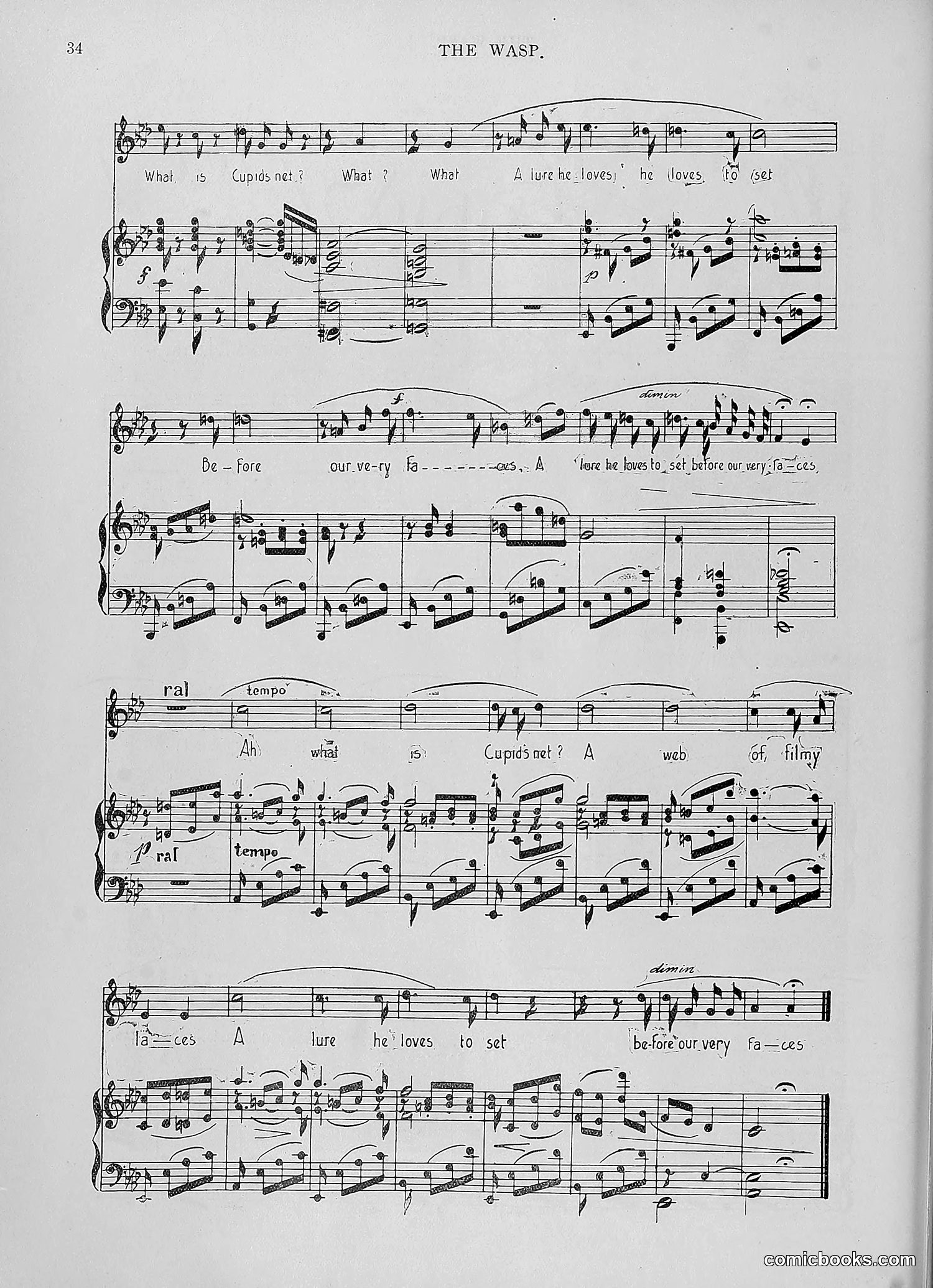 The Wasp — 1896 — page 1043 of 1082