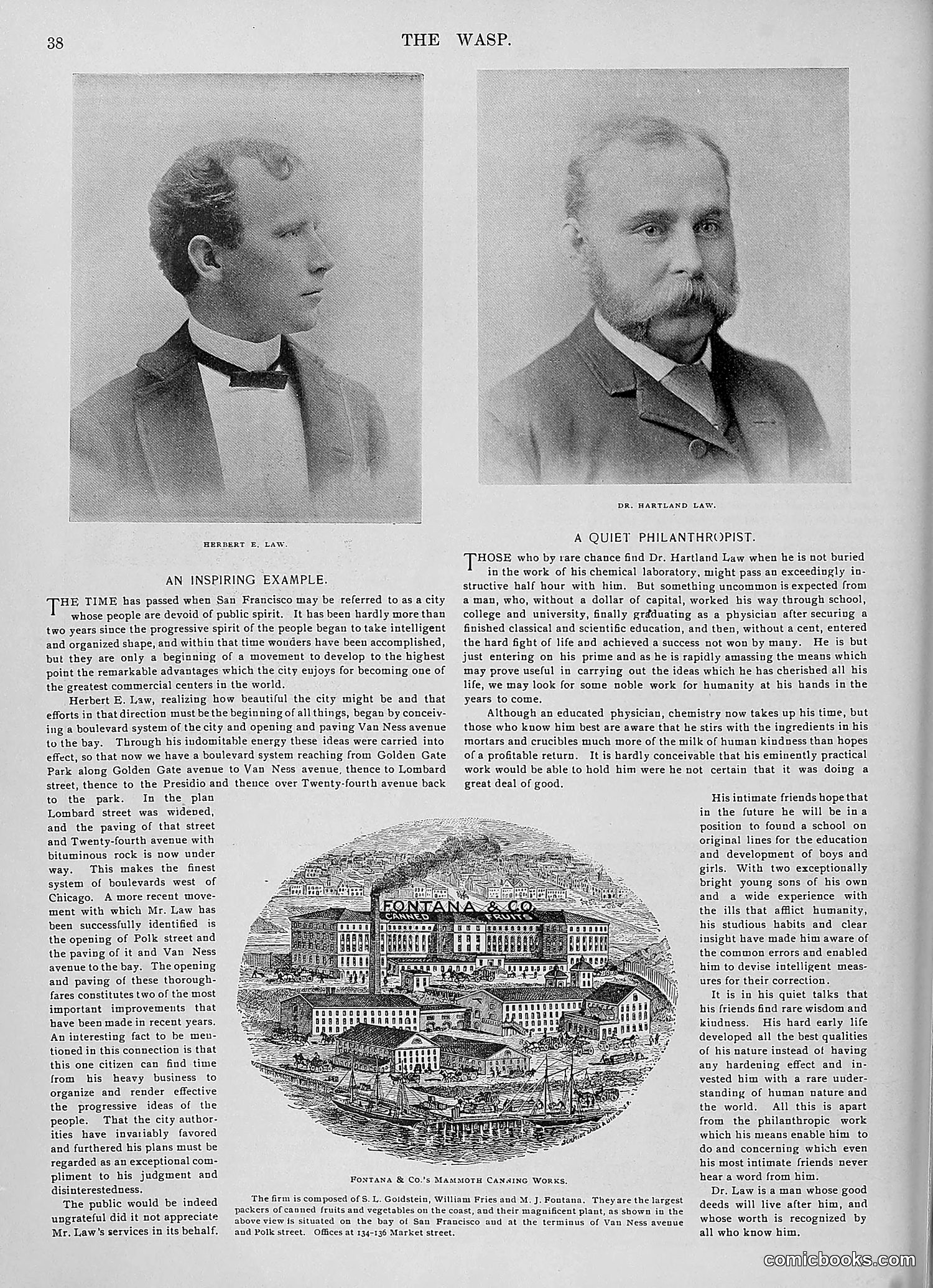 The Wasp — 1896 — page 1047 of 1082