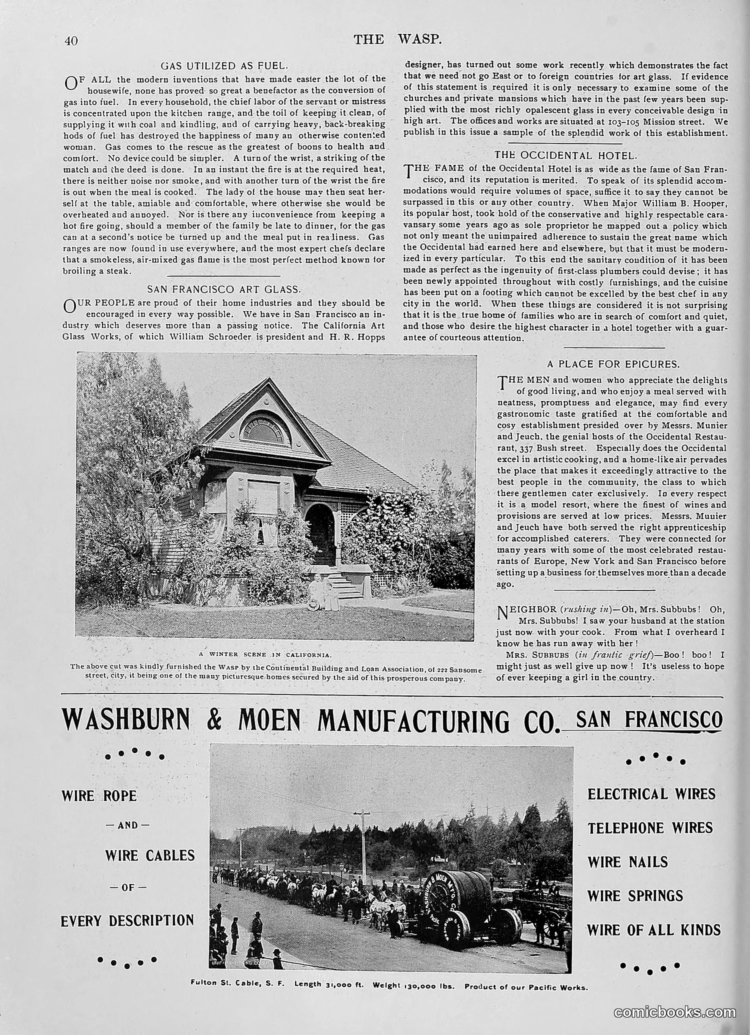The Wasp — 1896 — page 1049 of 1082