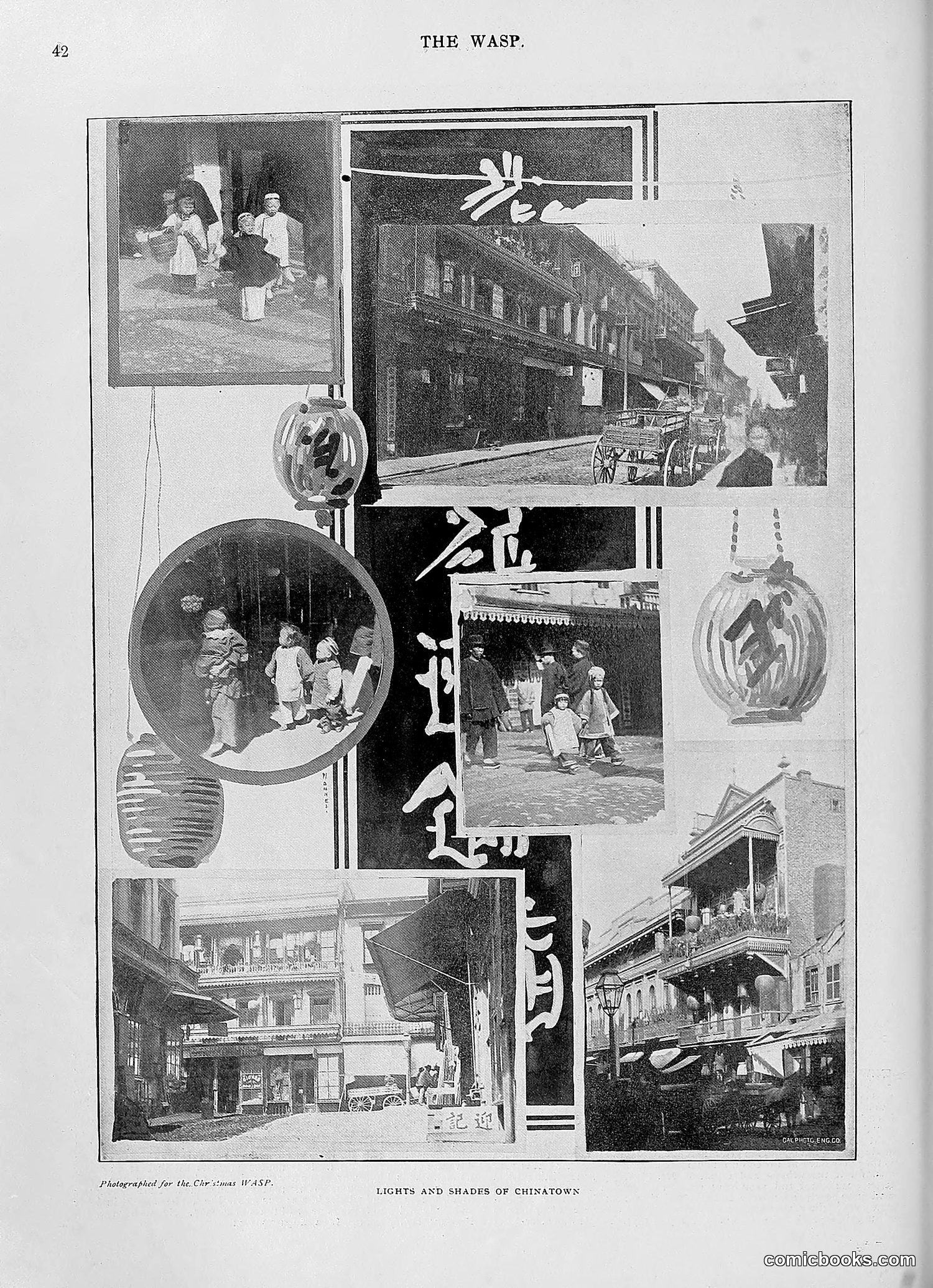 The Wasp — 1896 — page 1051 of 1082