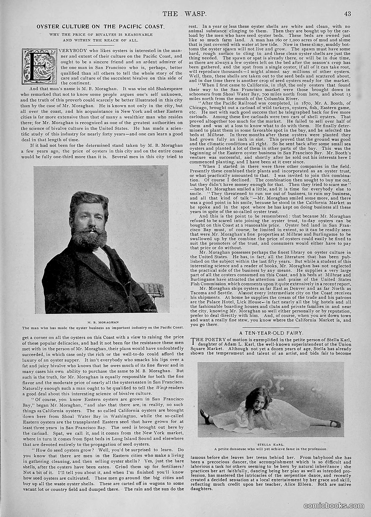 The Wasp — 1896 — page 1052 of 1082
