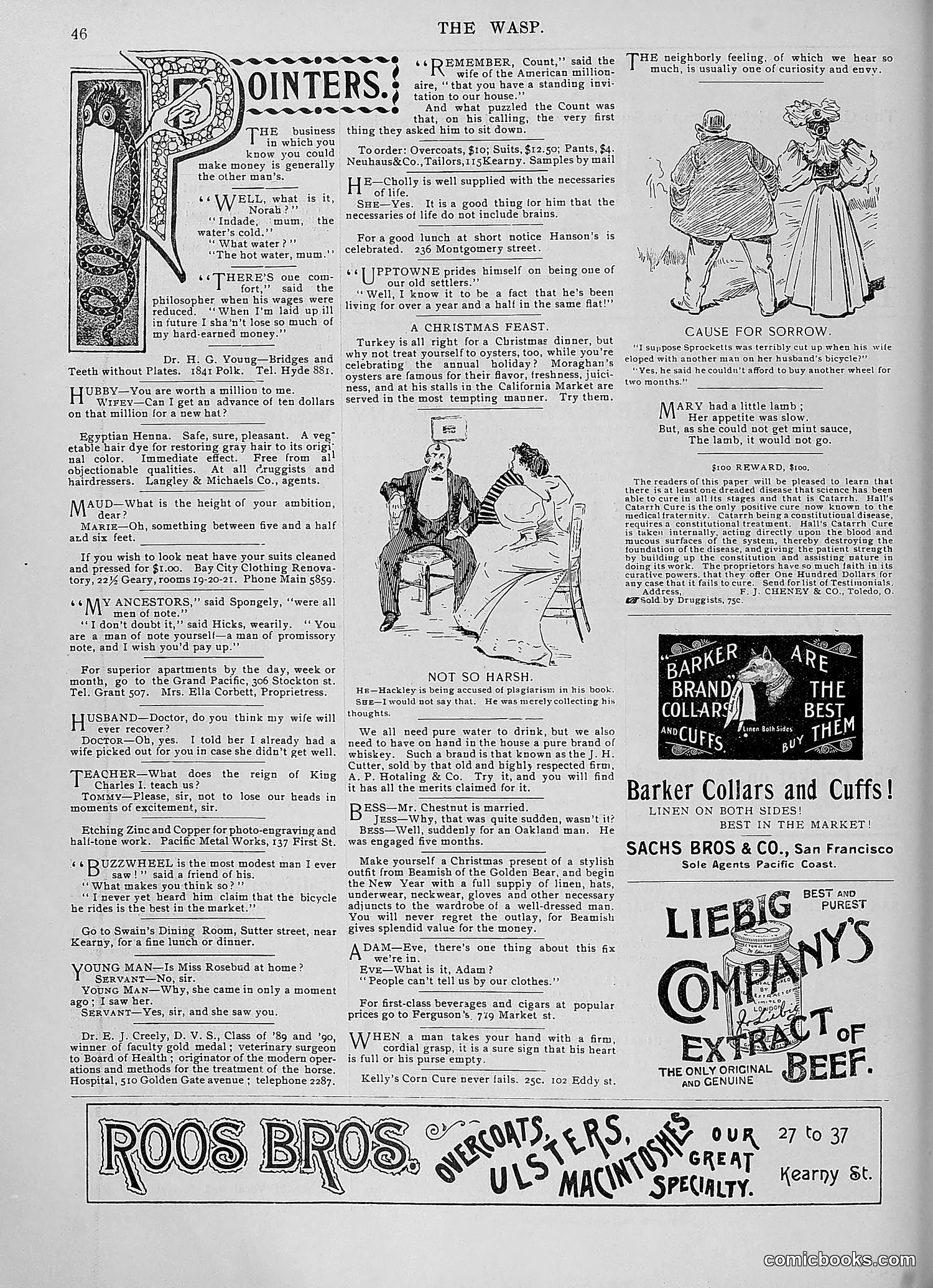 The Wasp — 1896 — page 1055 of 1082