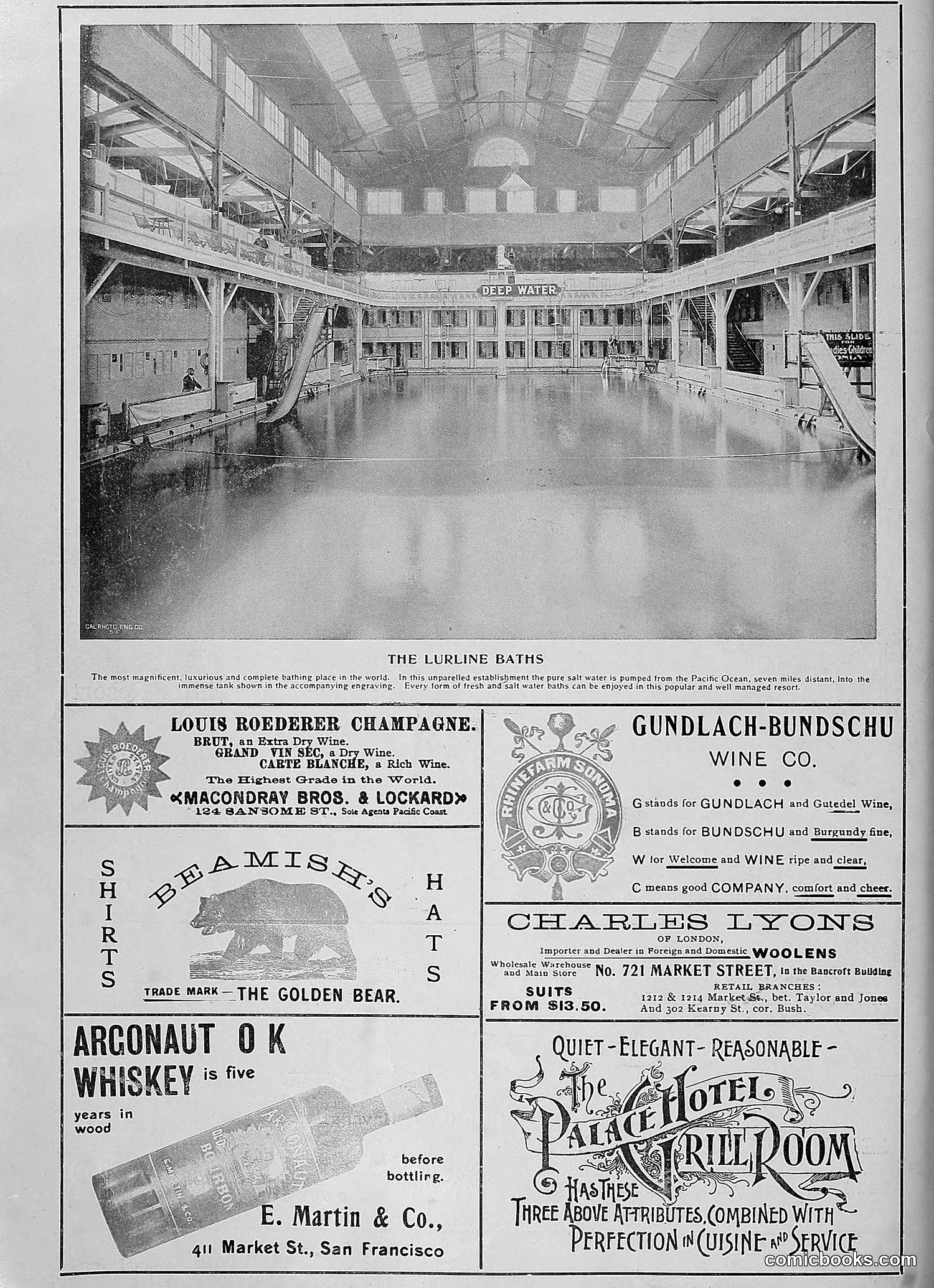 The Wasp — 1896 — page 1059 of 1082