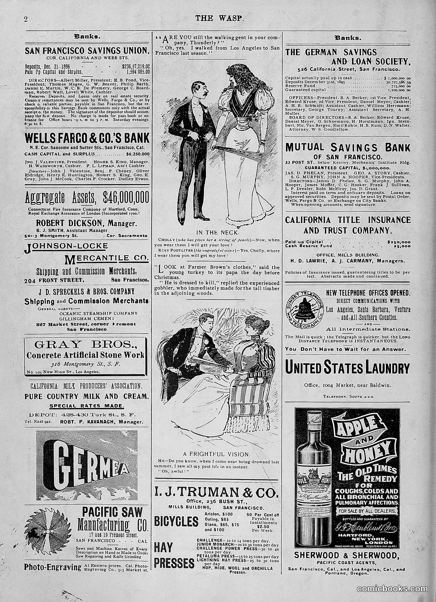The Wasp — 1896 — page 1061 of 1082