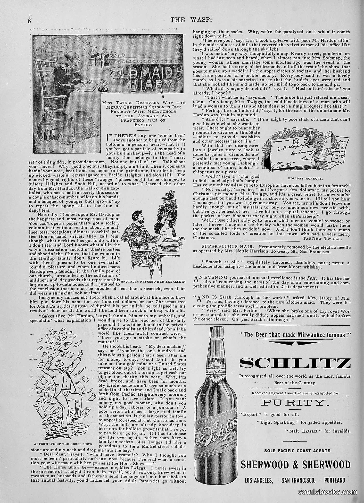The Wasp — 1896 — page 1065 of 1082