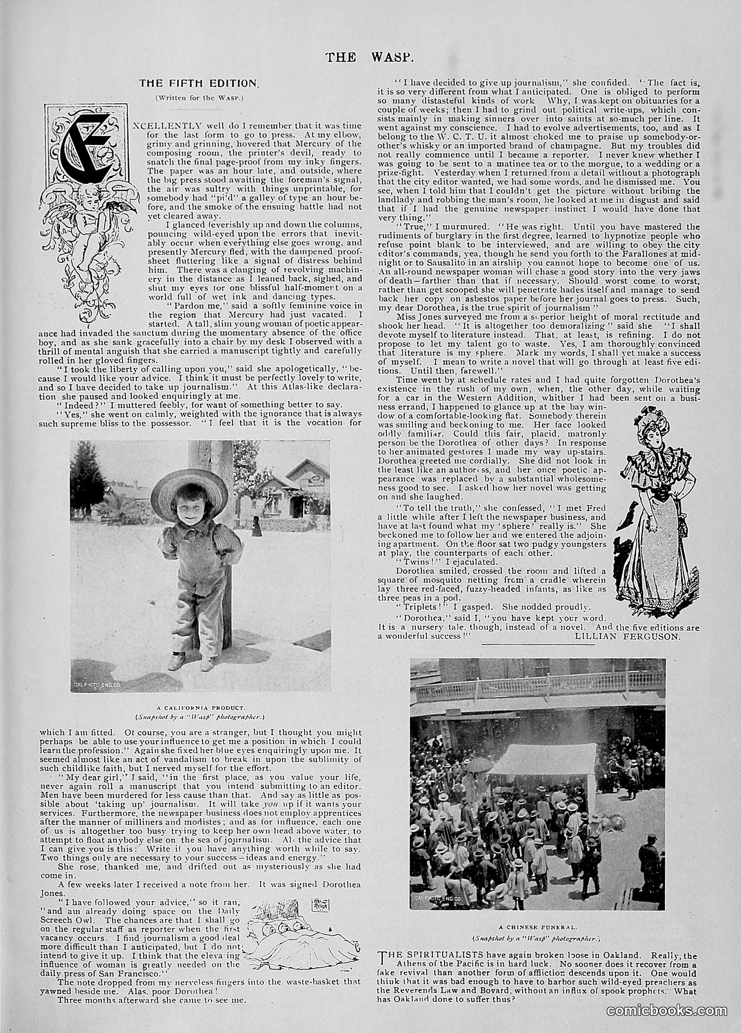 The Wasp — 1896 — page 1066 of 1082