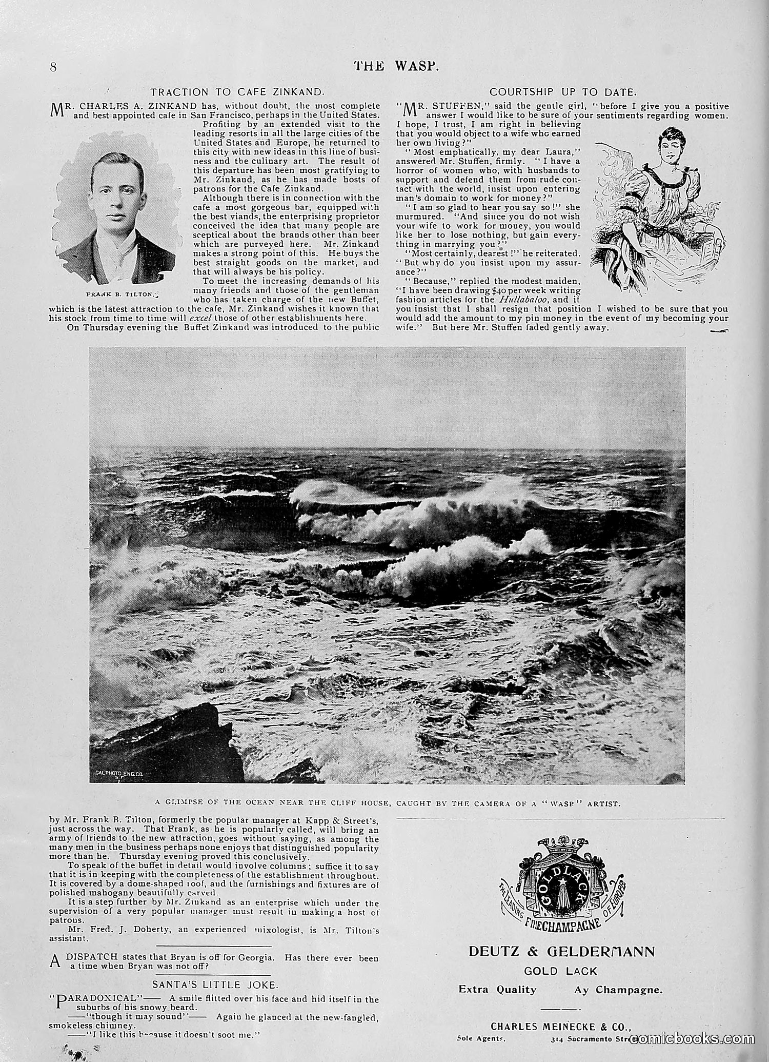 The Wasp — 1896 — page 1067 of 1082