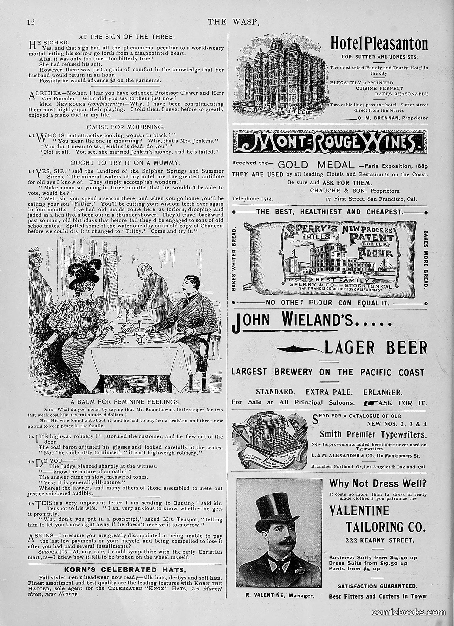 The Wasp — 1896 — page 1071 of 1082