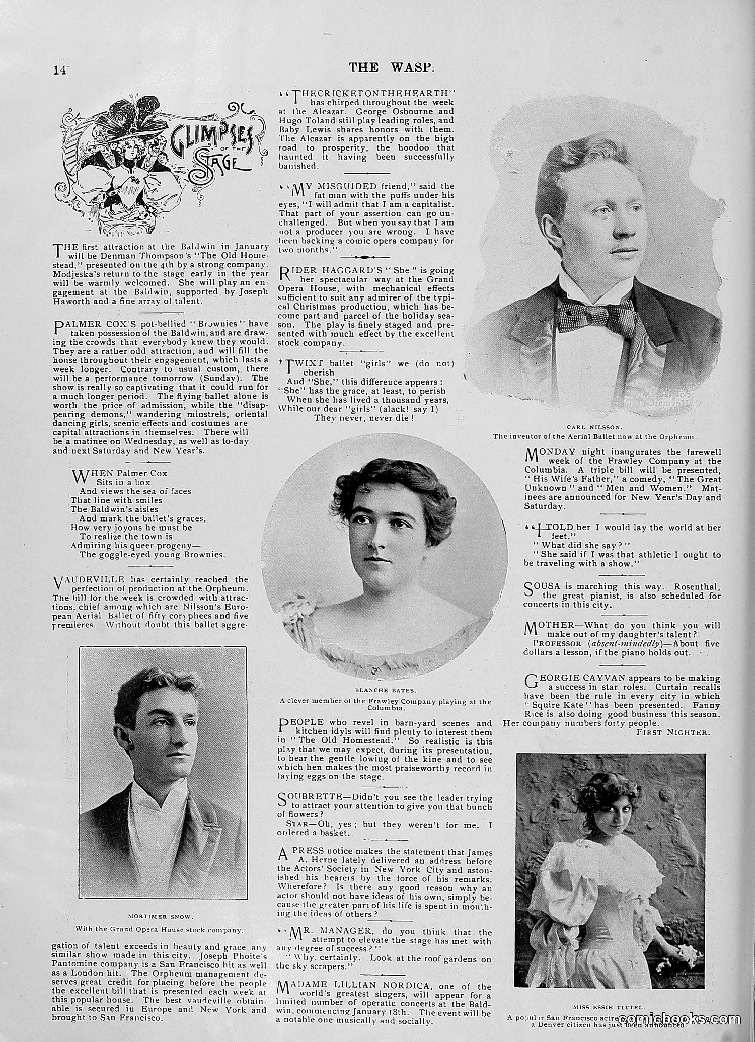 The Wasp — 1896 — page 1073 of 1082