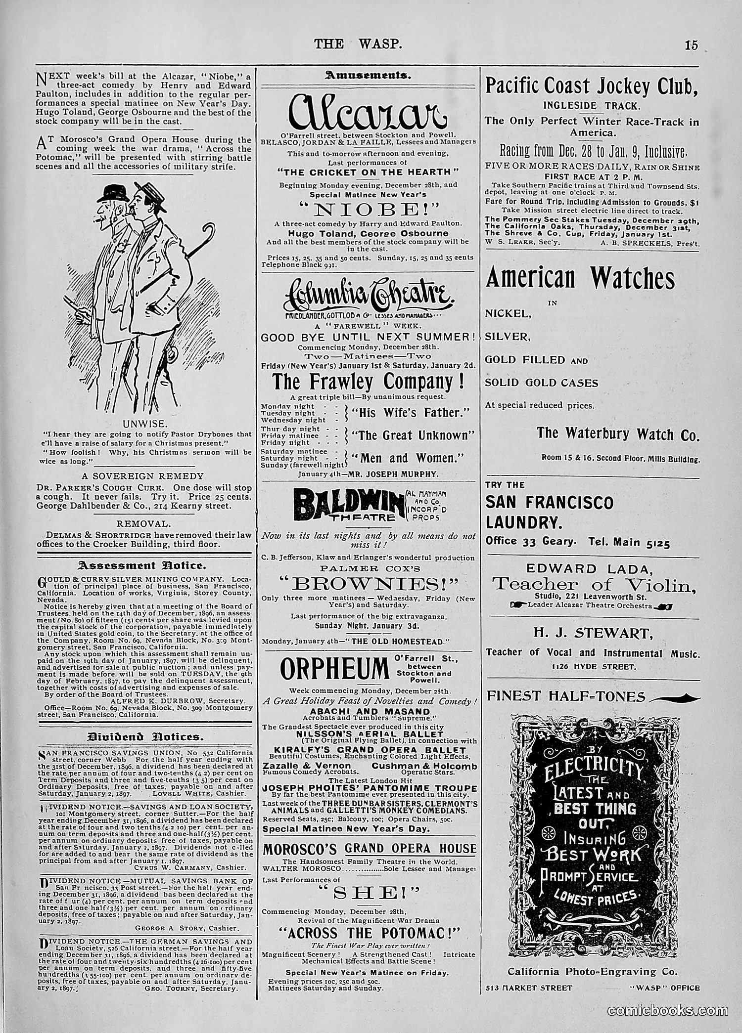 The Wasp — 1896 — page 1074 of 1082