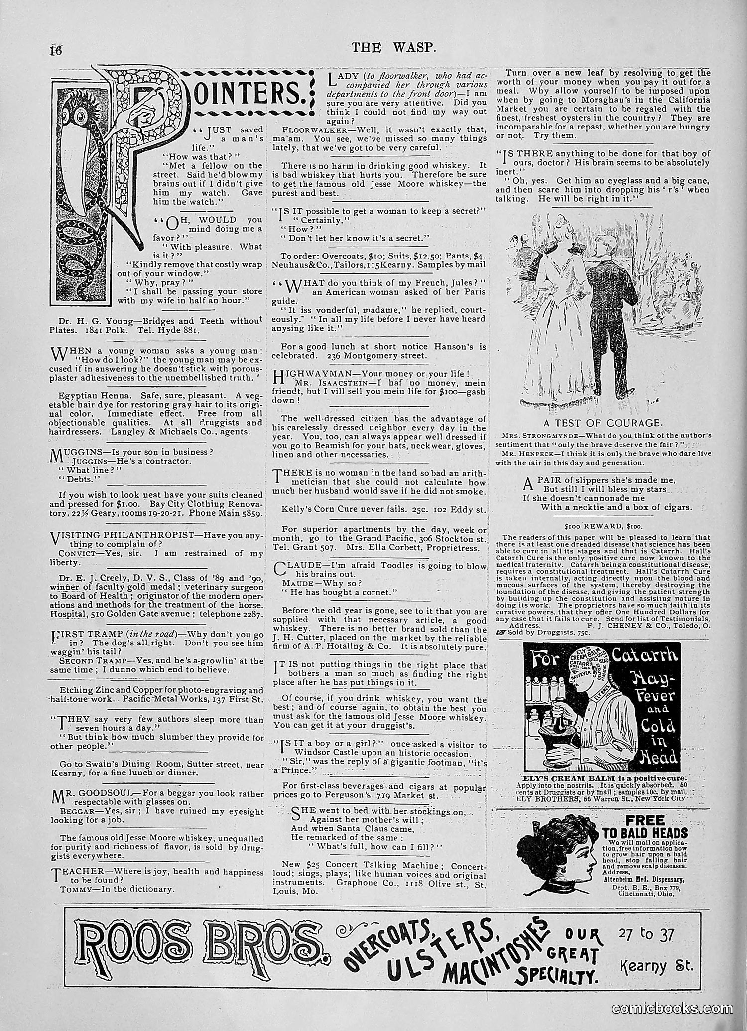 The Wasp — 1896 — page 1075 of 1082