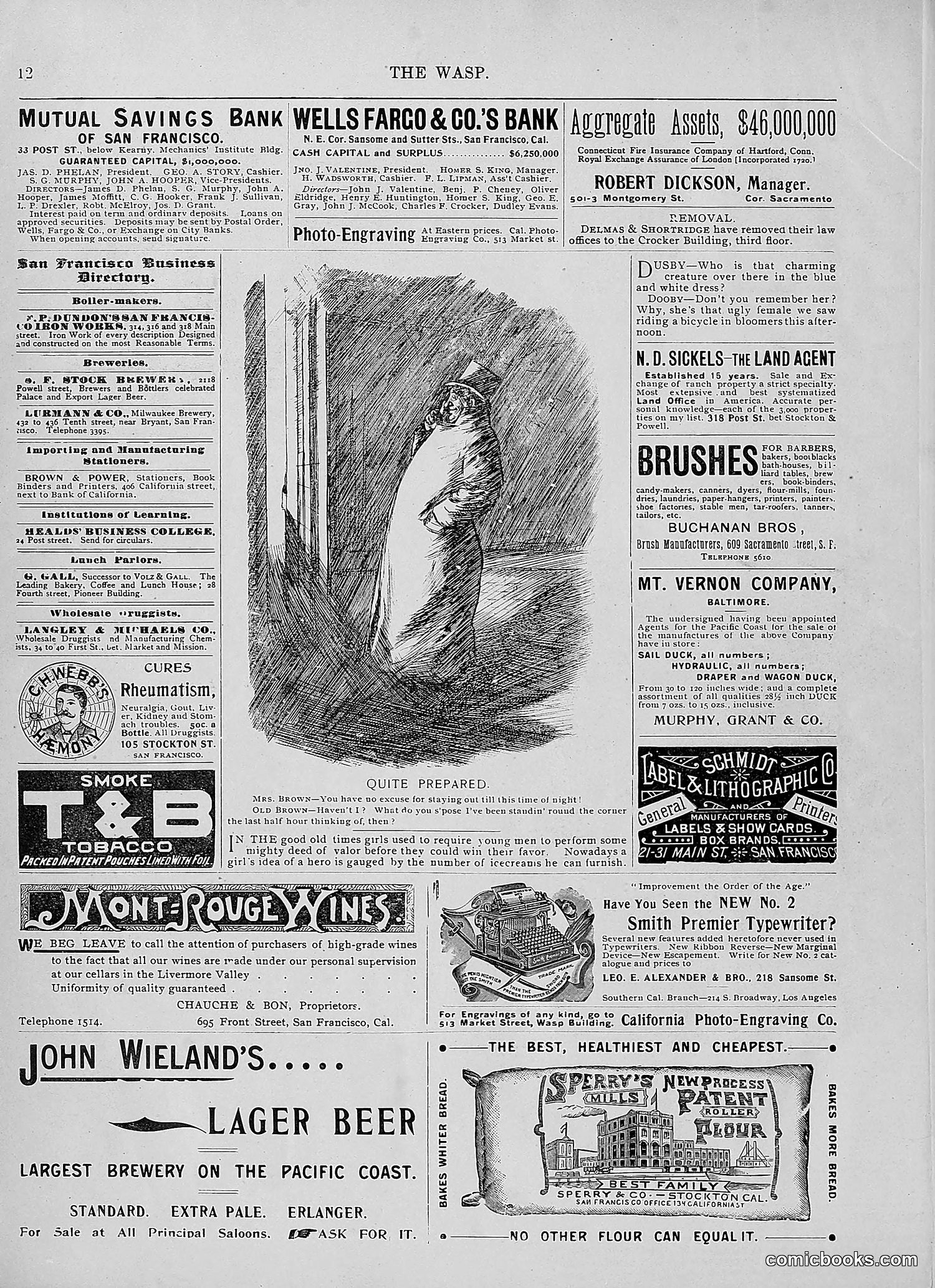 The Wasp — 1896 — page 121 of 1082