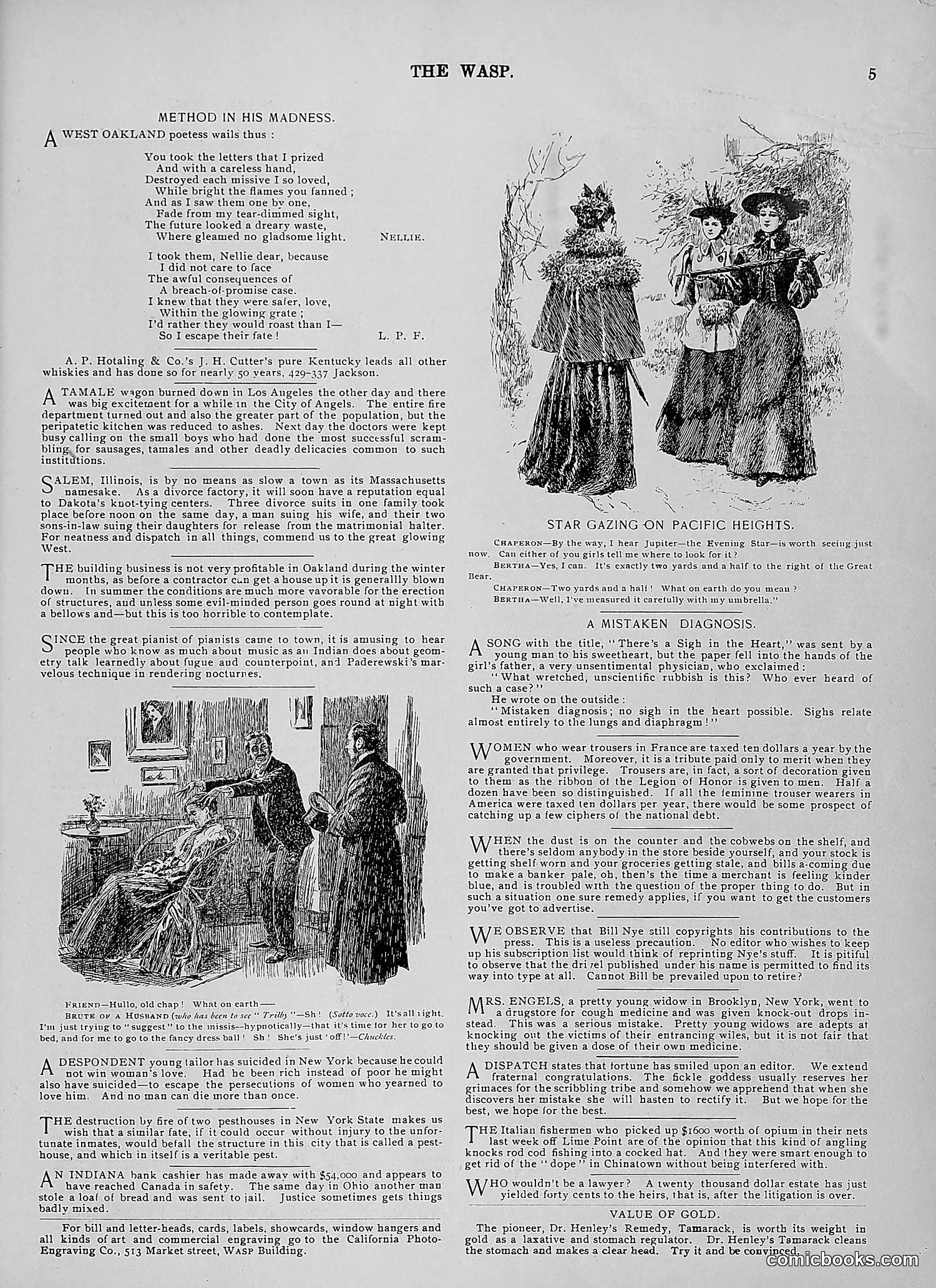 The Wasp — 1896 — page 134 of 1082