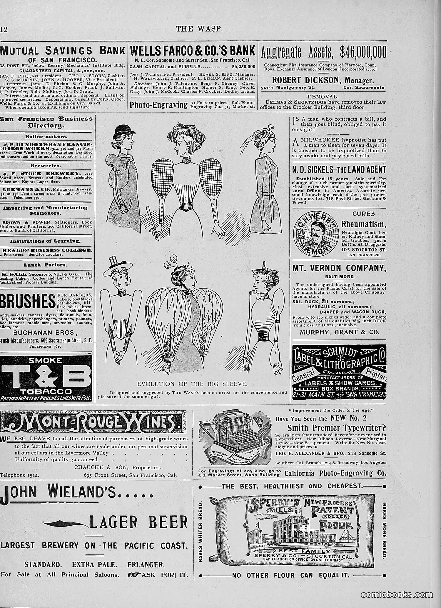The Wasp — 1896 — page 141 of 1082