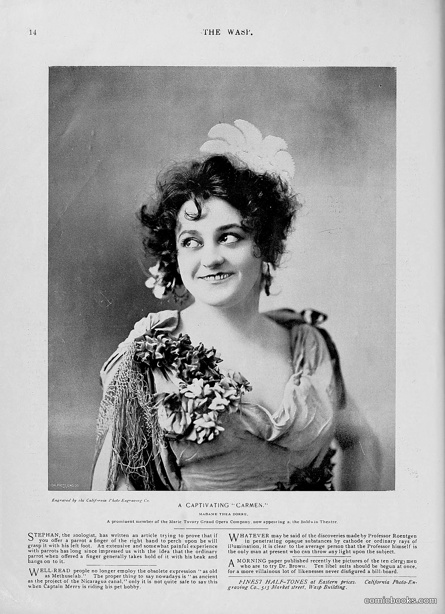 The Wasp — 1896 — page 143 of 1082