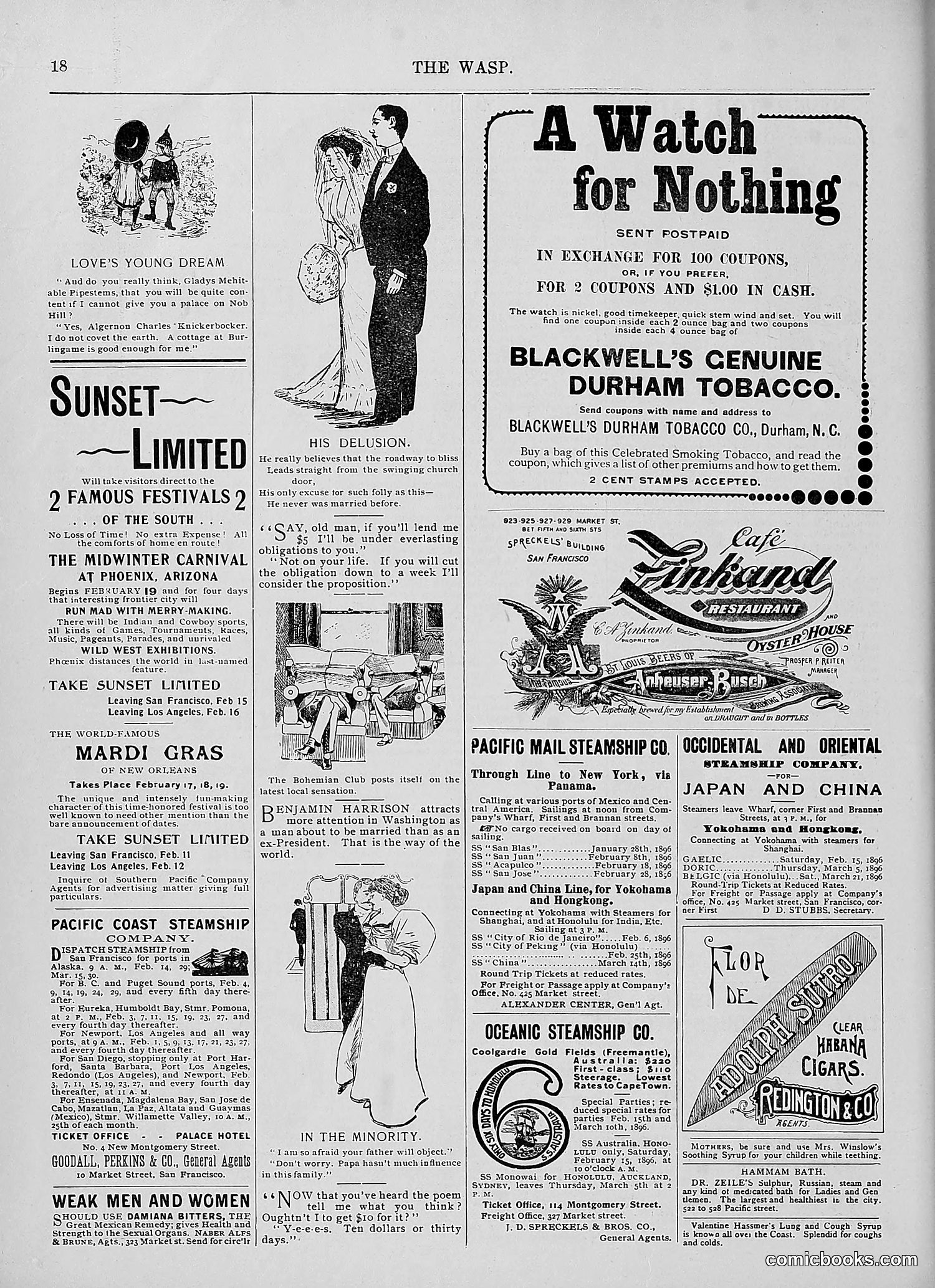 The Wasp — 1896 — page 147 of 1082
