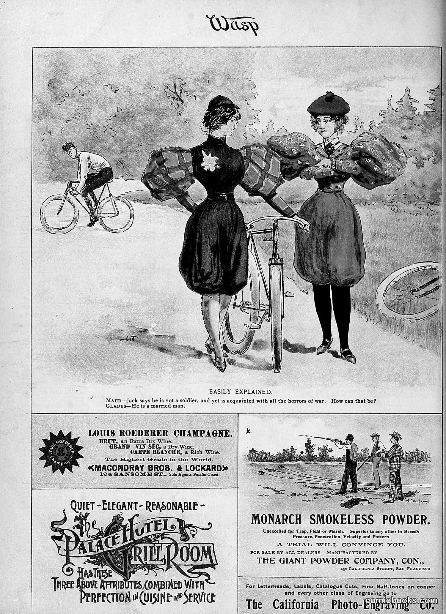 The Wasp — 1896 — page 149 of 1082