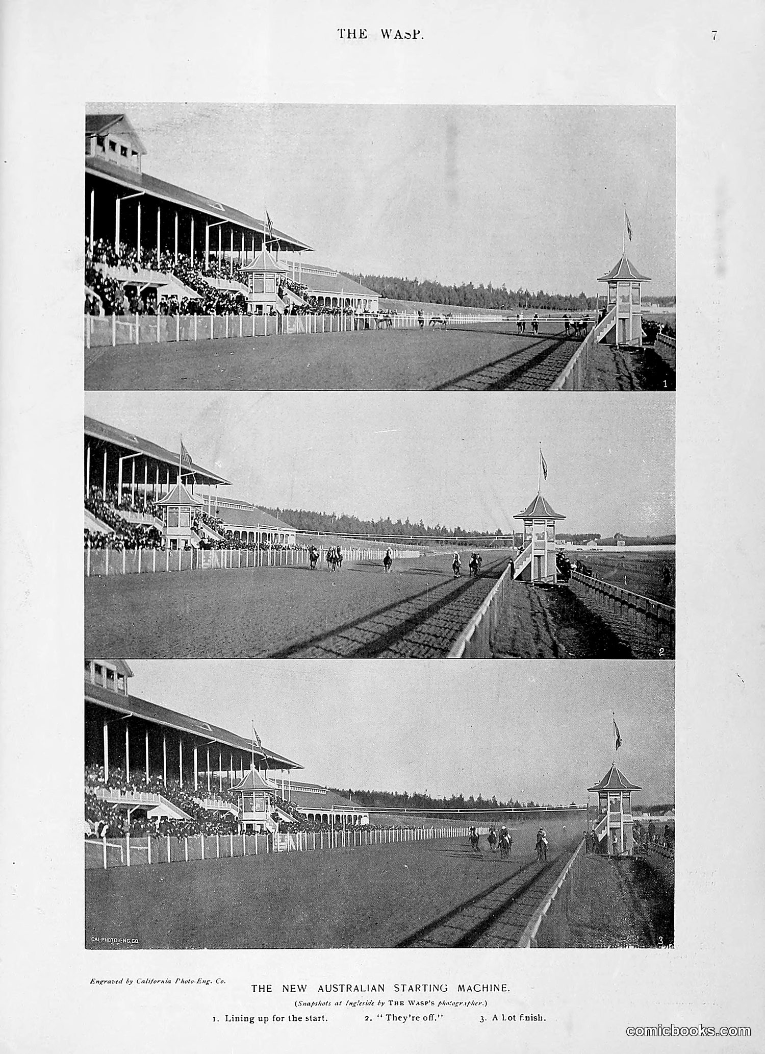 The Wasp — 1896 — page 156 of 1082