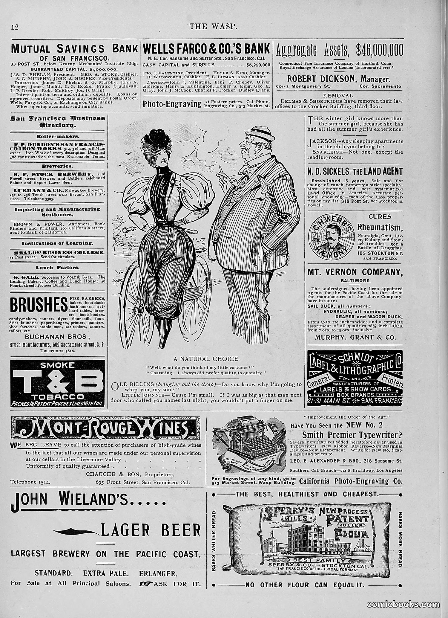 The Wasp — 1896 — page 161 of 1082
