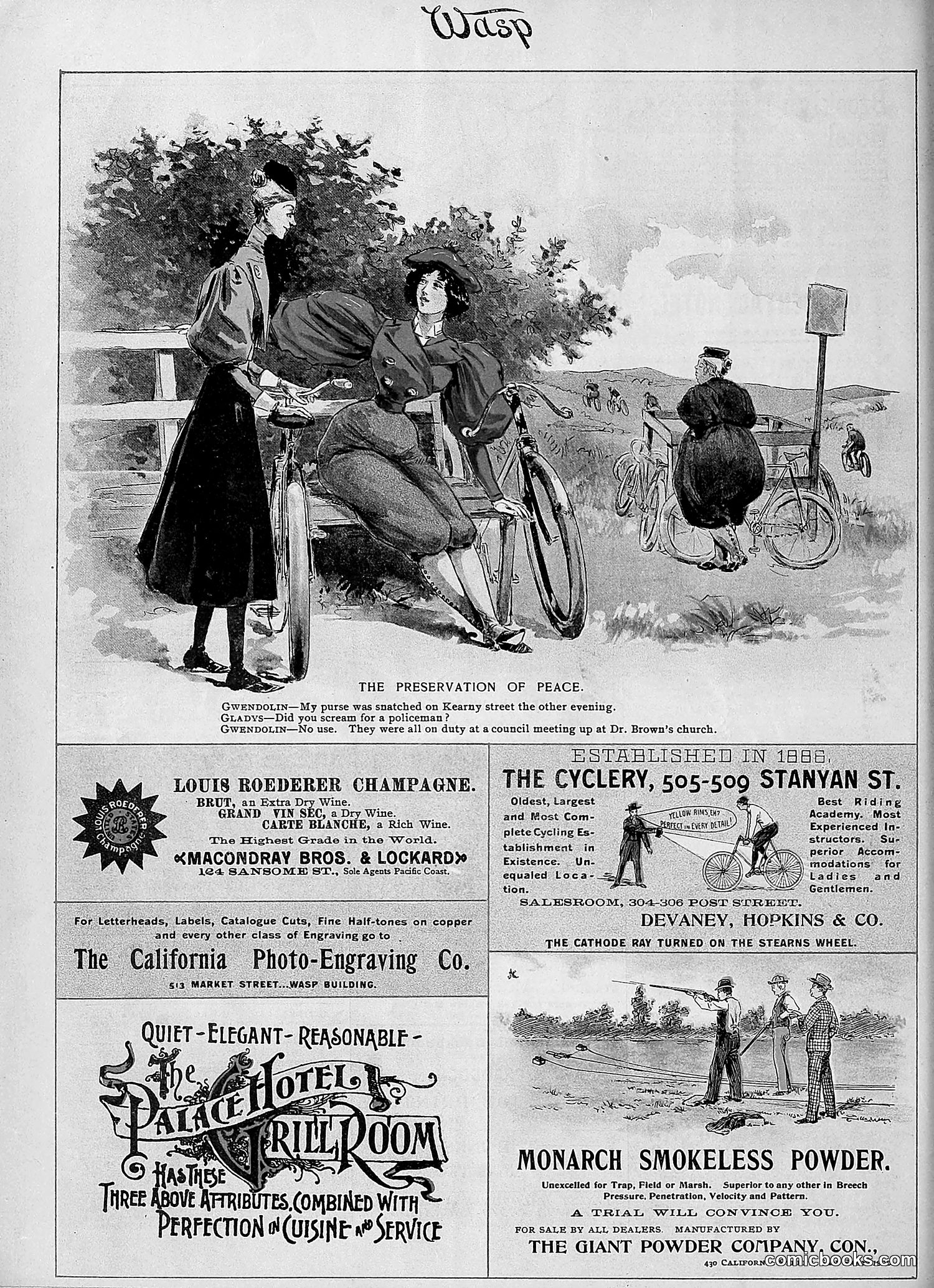 The Wasp — 1896 — page 189 of 1082