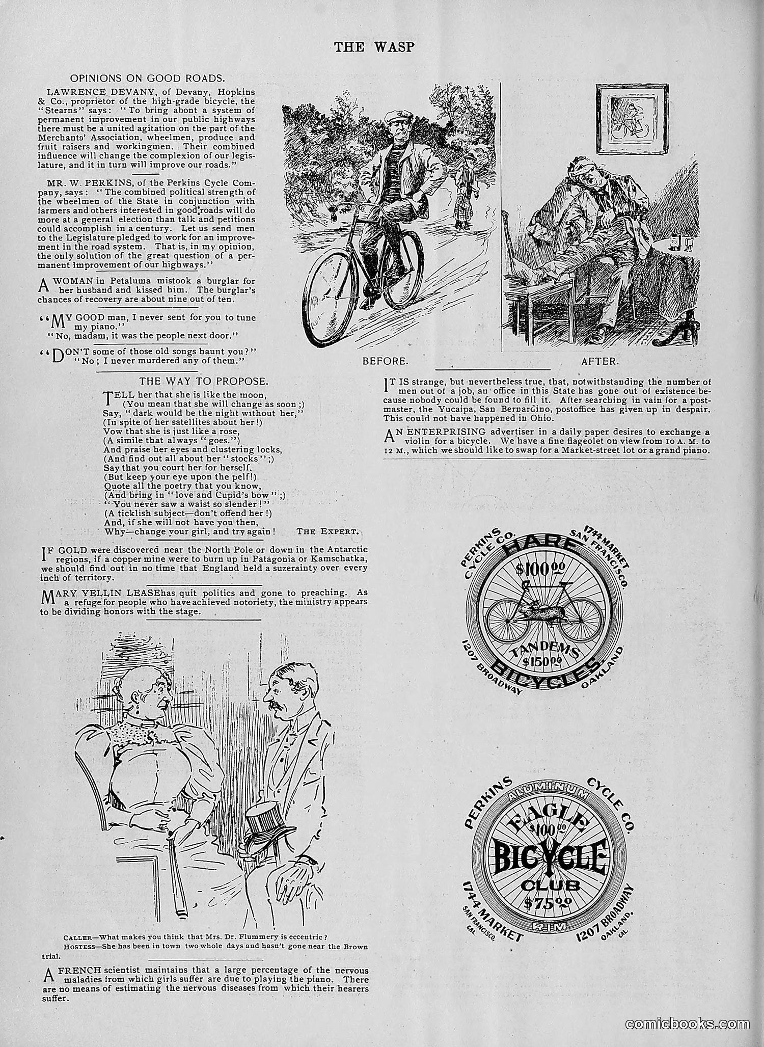 The Wasp — 1896 — page 195 of 1082