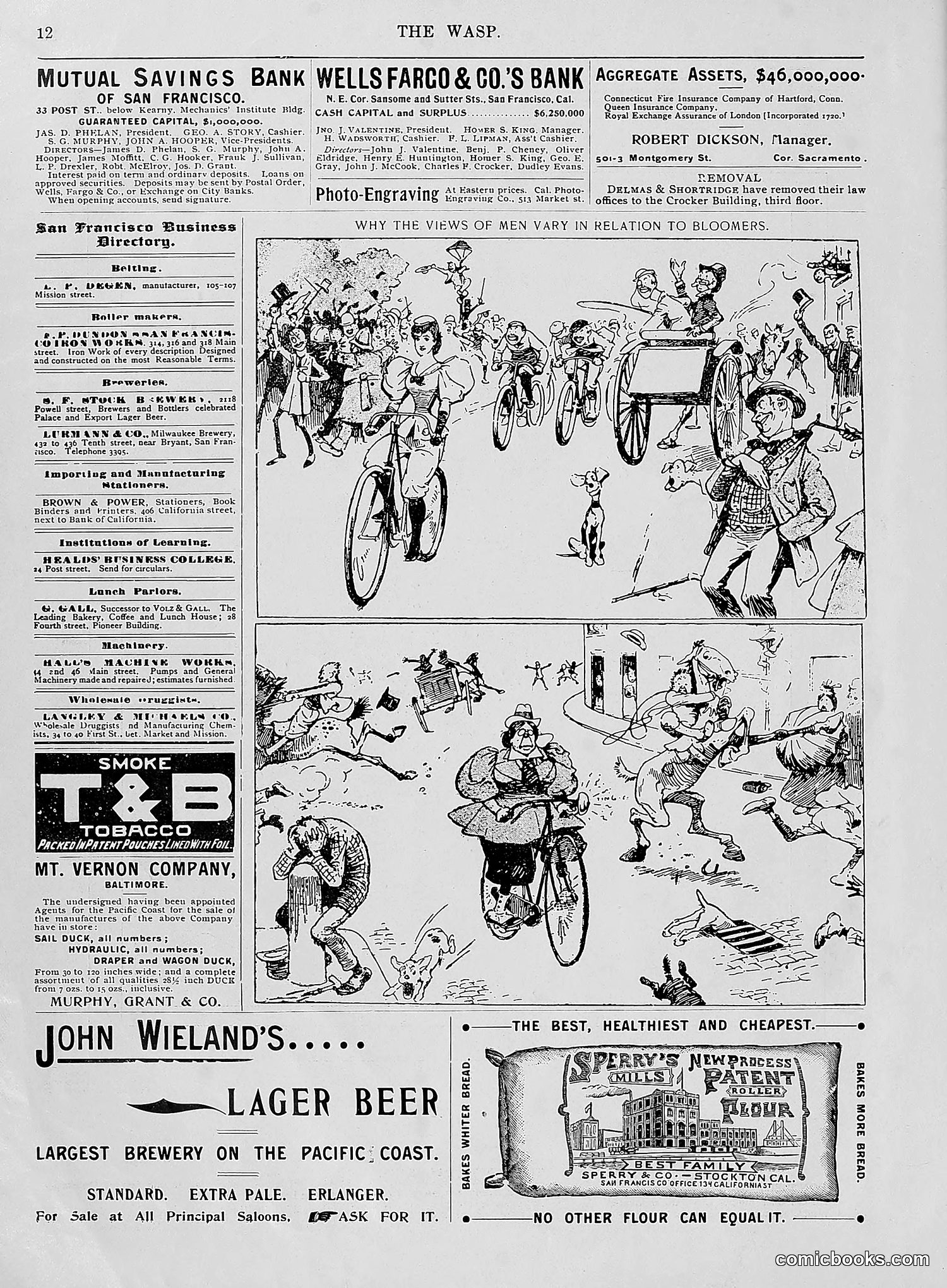 The Wasp — 1896 — page 21 of 1082