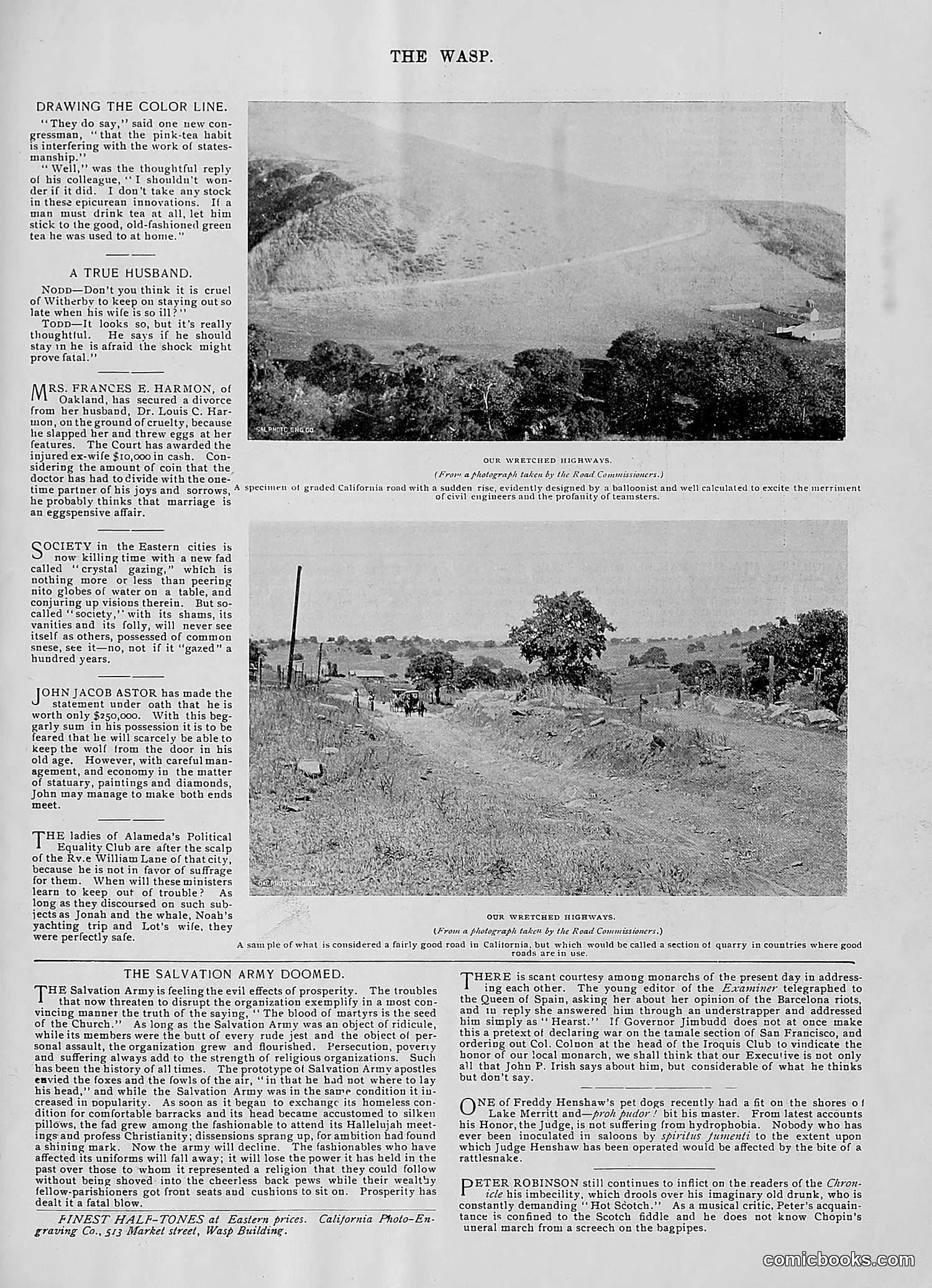 The Wasp — 1896 — page 204 of 1082