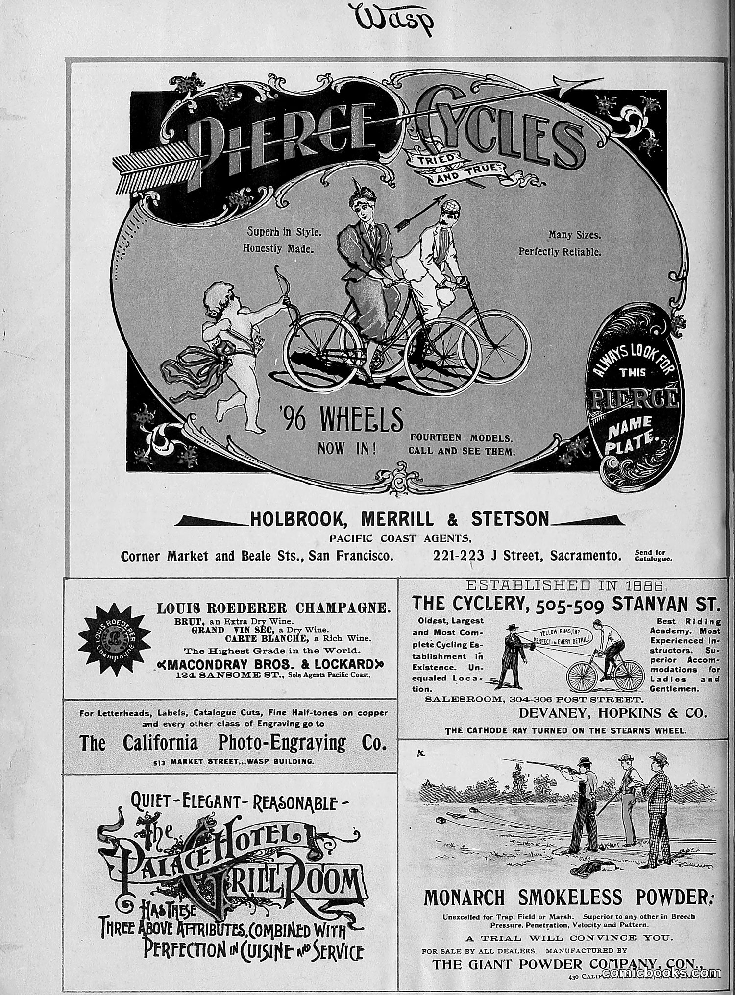 The Wasp — 1896 — page 213 of 1082