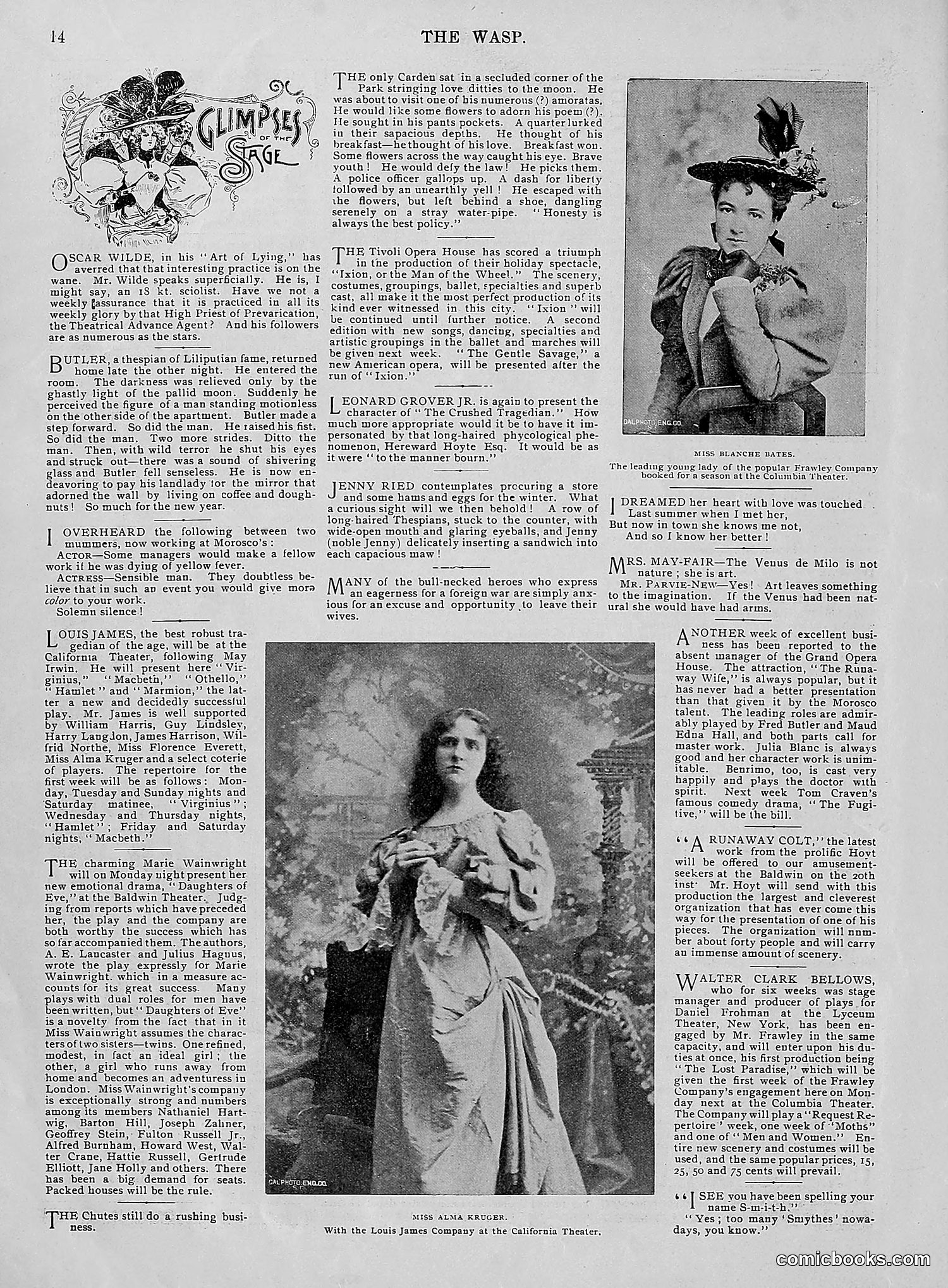 The Wasp — 1896 — page 23 of 1082