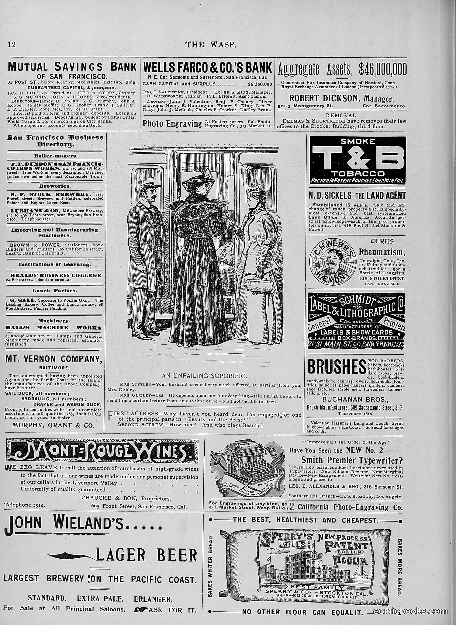 The Wasp — 1896 — page 225 of 1082