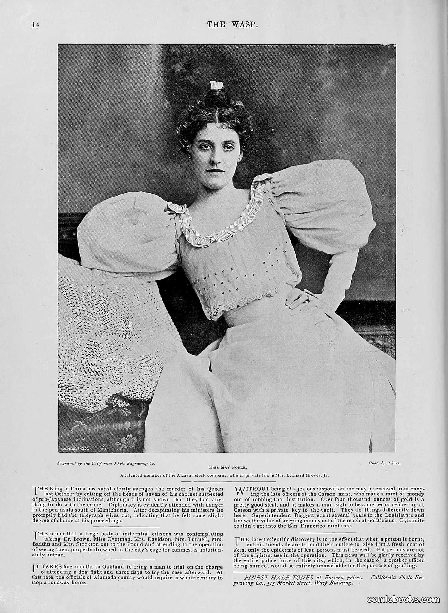 The Wasp — 1896 — page 227 of 1082