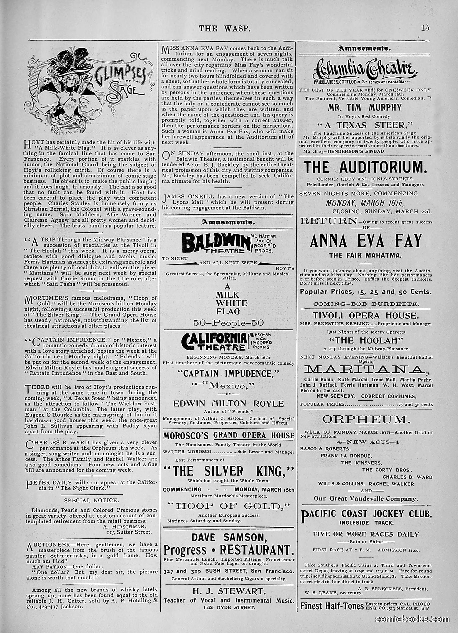 The Wasp — 1896 — page 228 of 1082