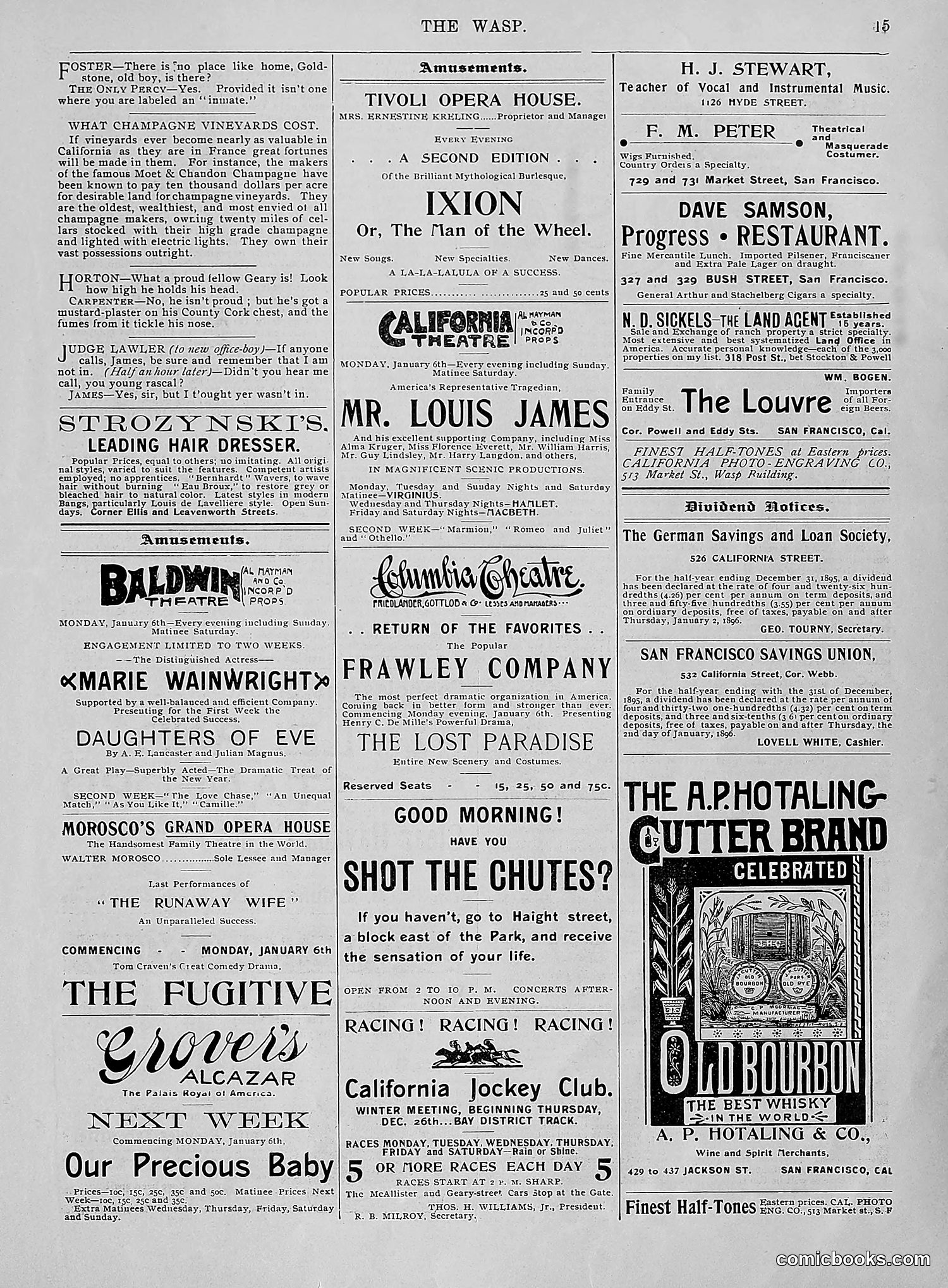 The Wasp — 1896 — page 24 of 1082