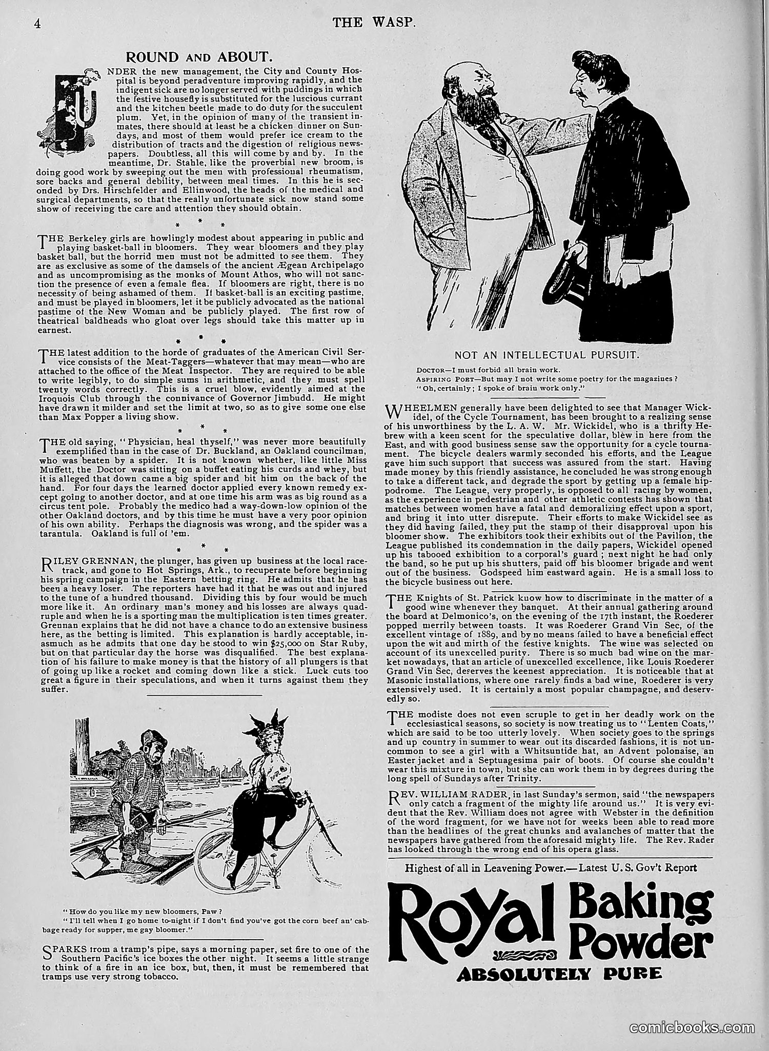 The Wasp — 1896 — page 237 of 1082