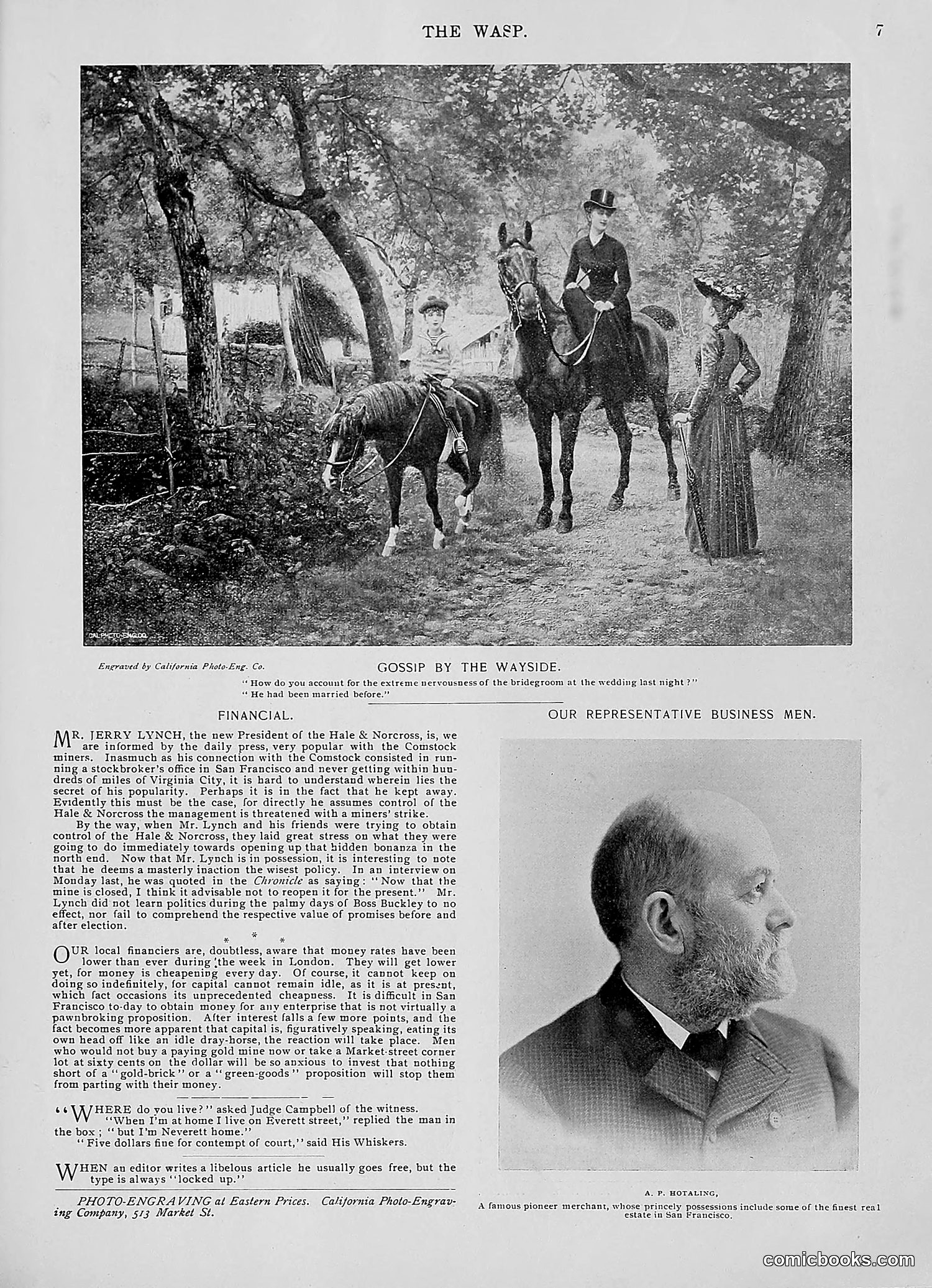 The Wasp — 1896 — page 240 of 1082