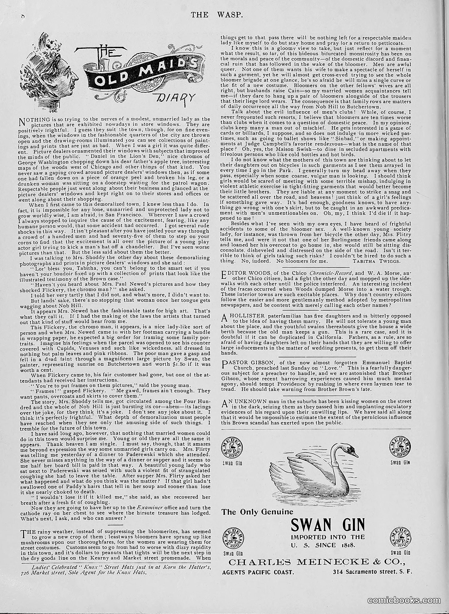 The Wasp — 1896 — page 241 of 1082
