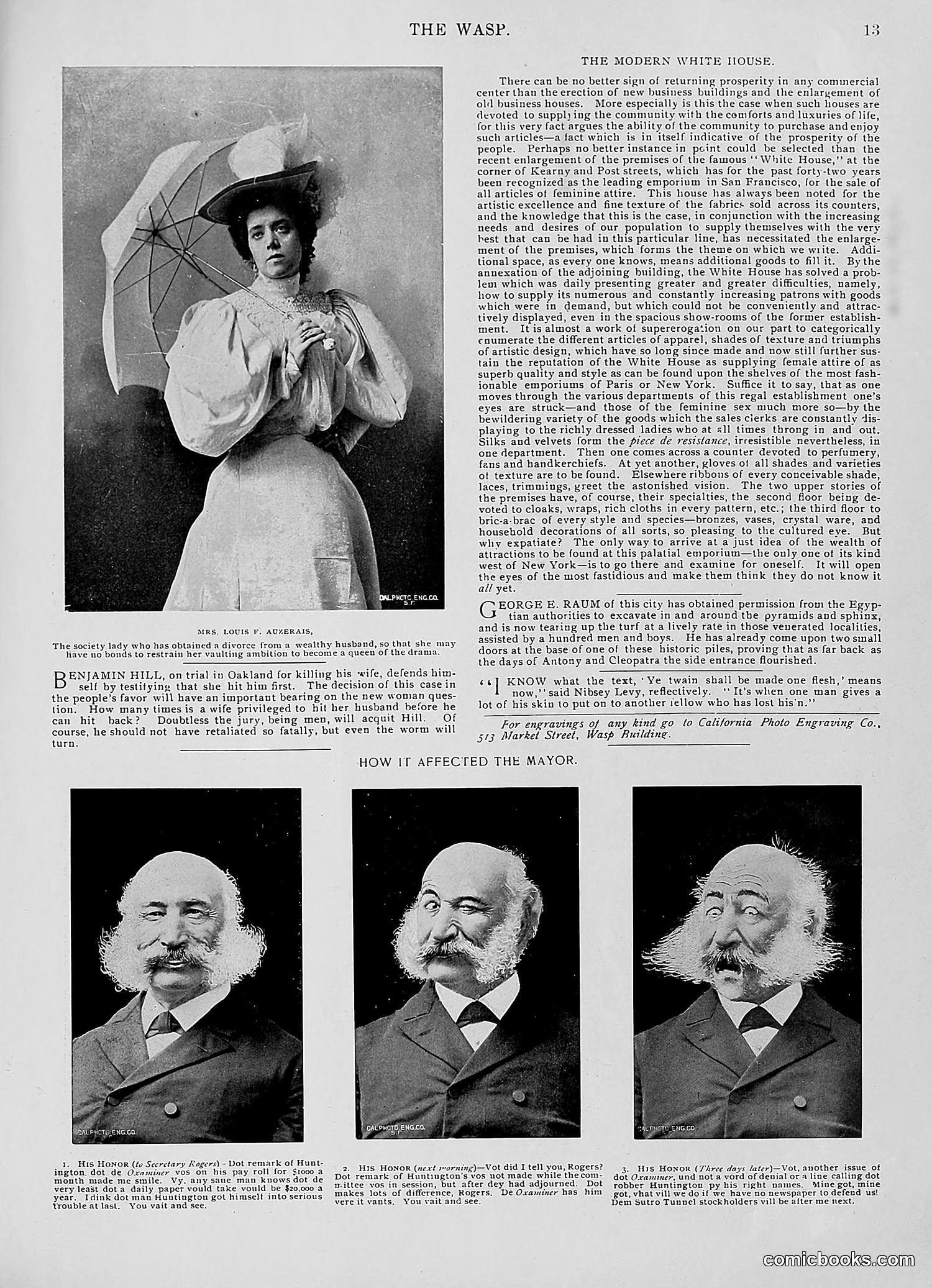 The Wasp — 1896 — page 246 of 1082