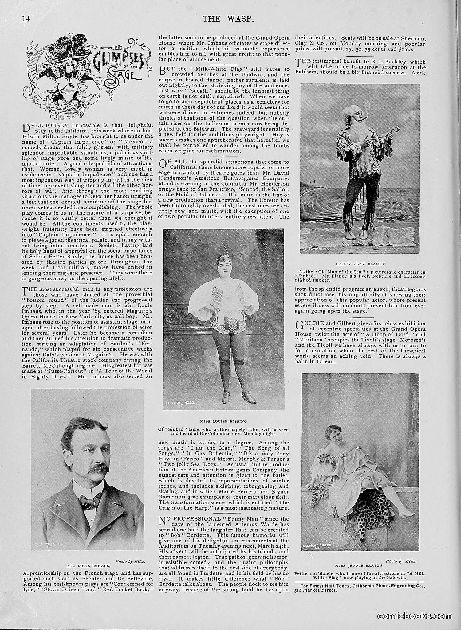 The Wasp — 1896 — page 247 of 1082