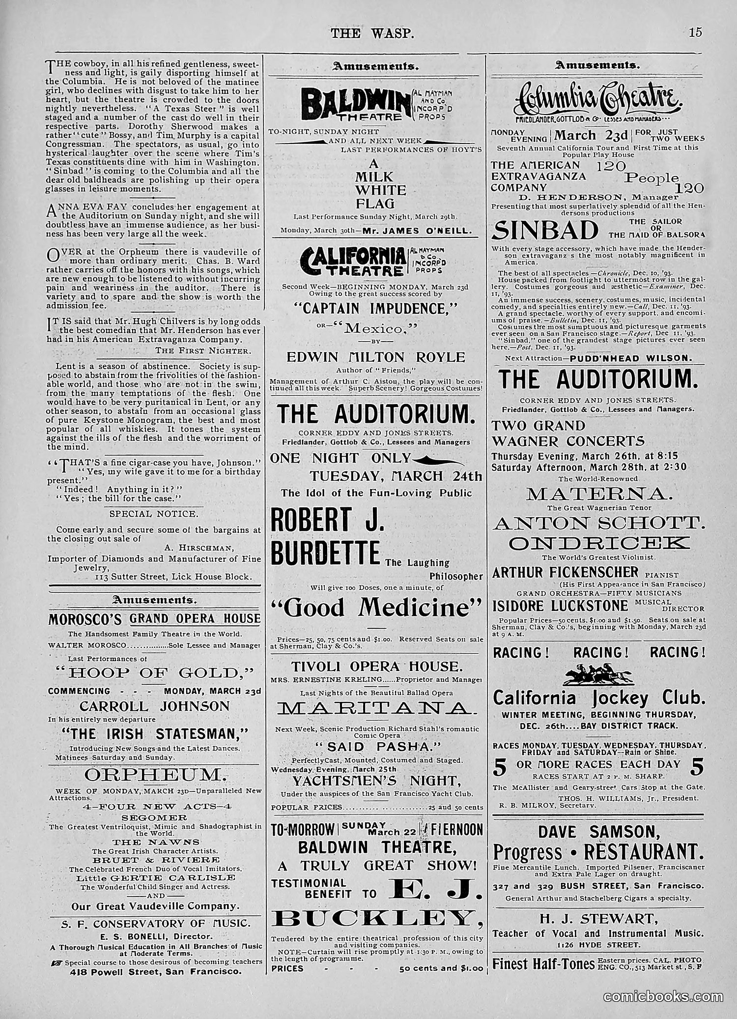 The Wasp — 1896 — page 248 of 1082