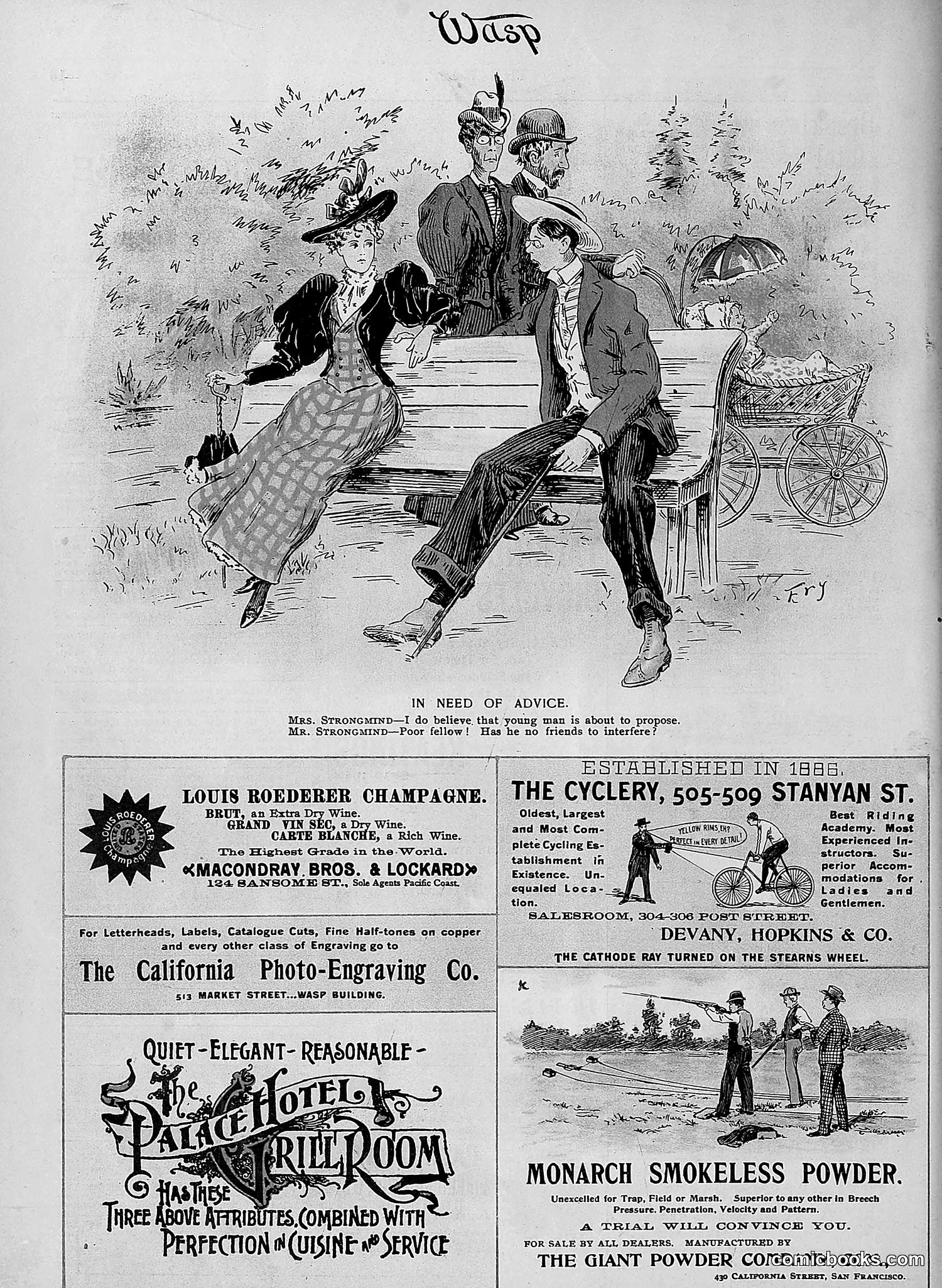 The Wasp — 1896 — page 253 of 1082