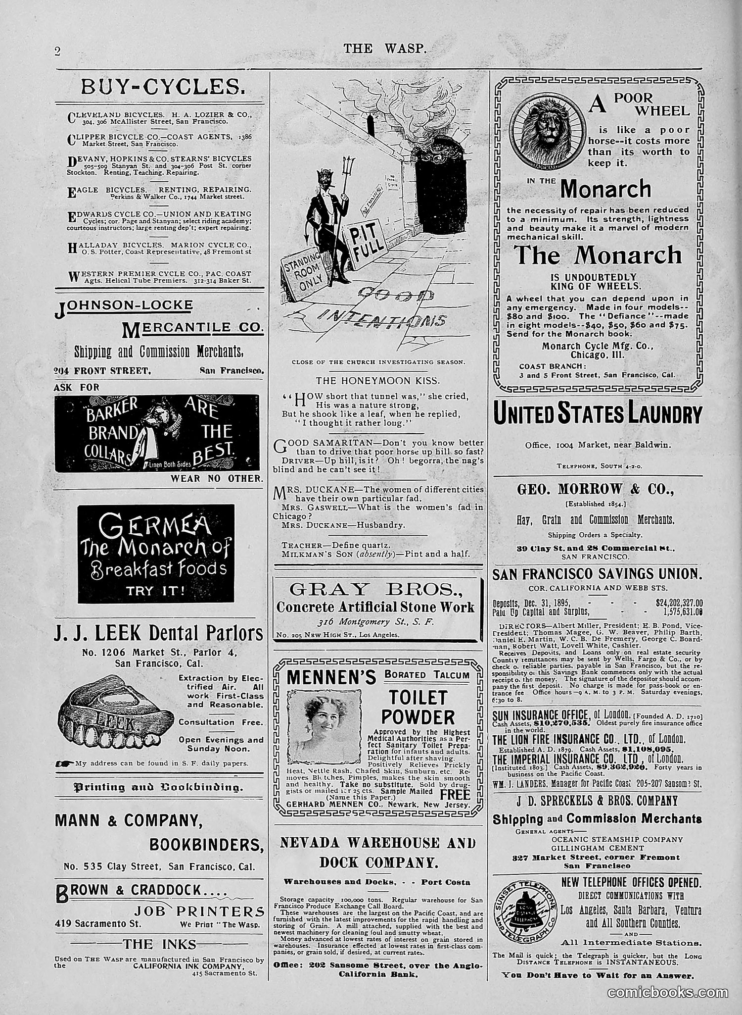The Wasp — 1896 — page 255 of 1082