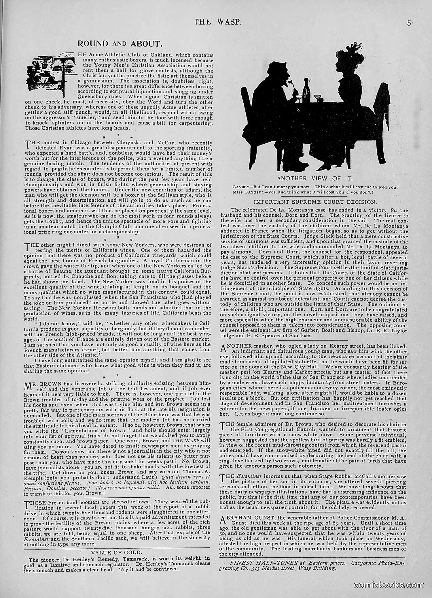 The Wasp — 1896 — page 258 of 1082