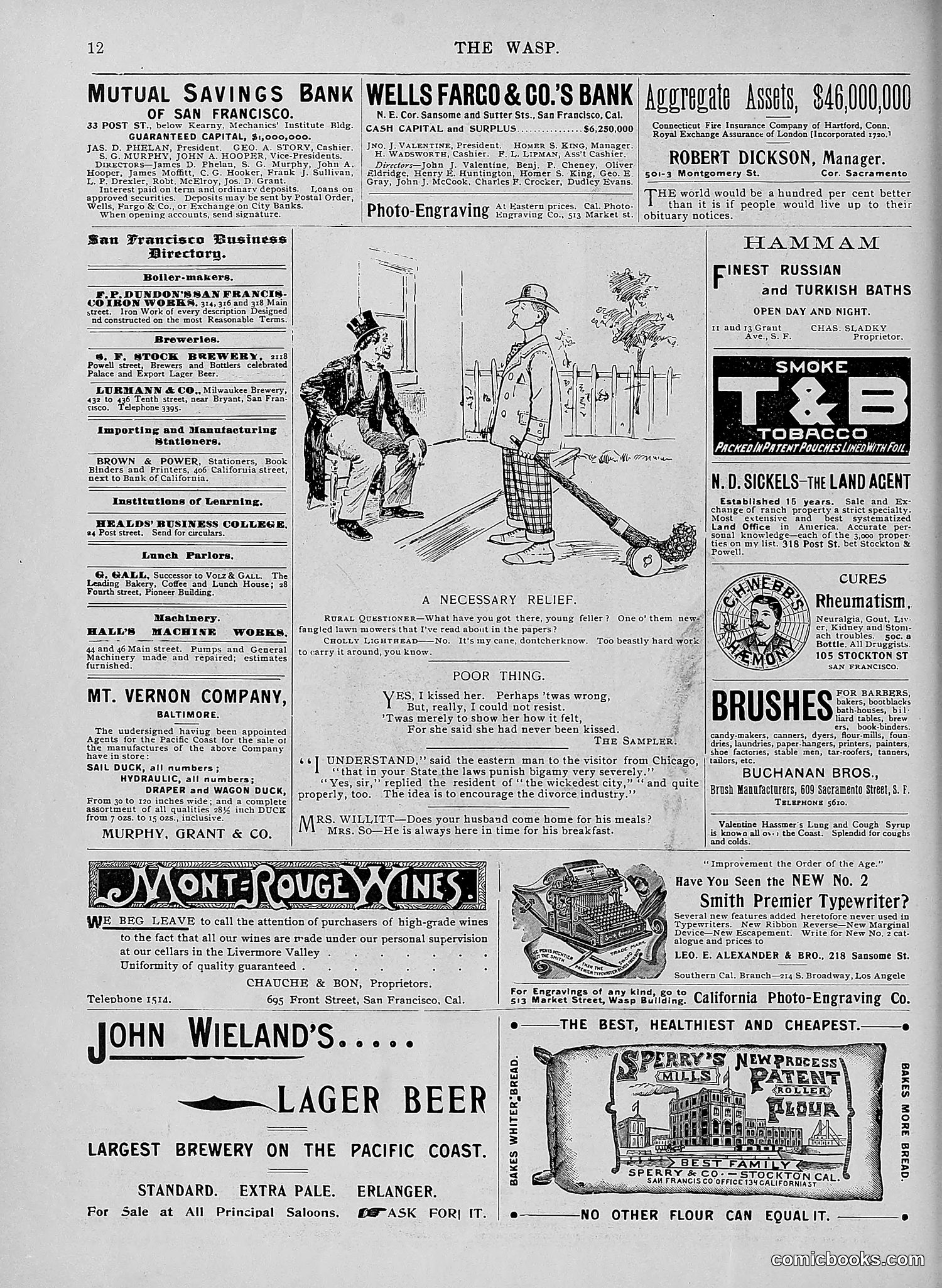 The Wasp — 1896 — page 265 of 1082