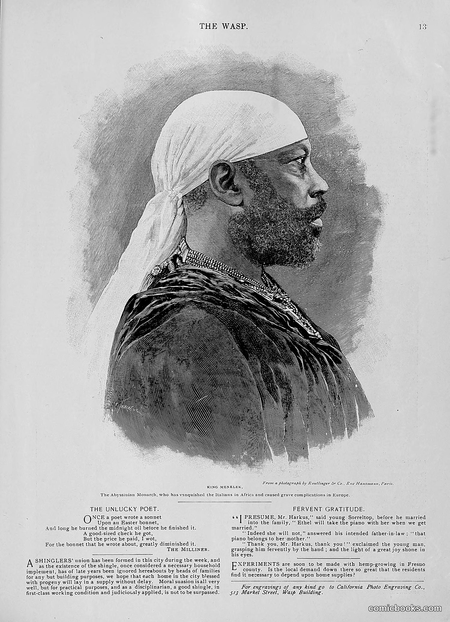 The Wasp — 1896 — page 266 of 1082